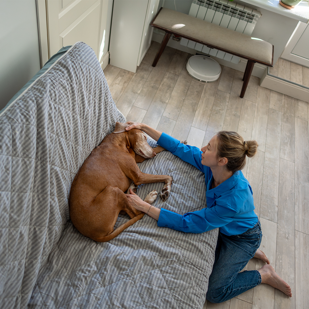 Beyond the Basics: Recognizing Signs of Illness in Your Pet