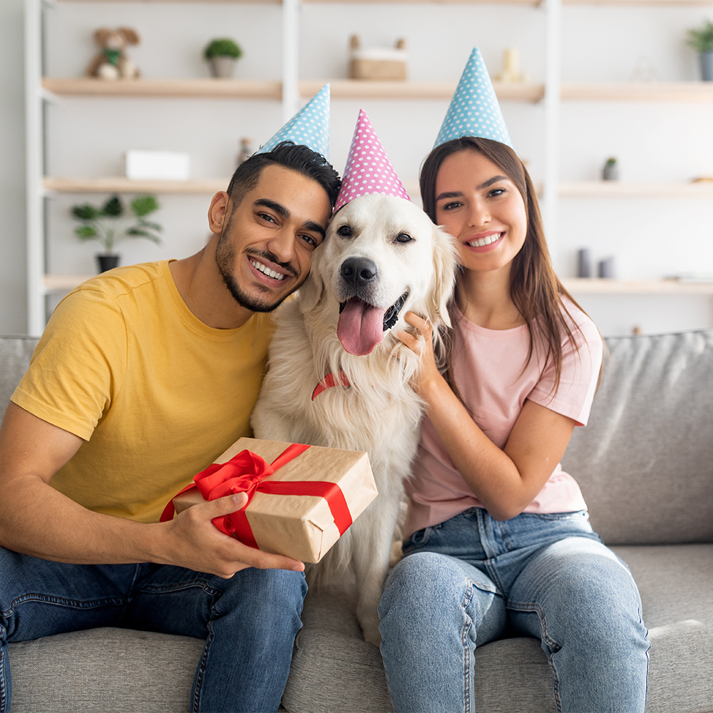 Happy Birthday, Buddy! Fun Ways to Celebrate Your Pet's Special Day