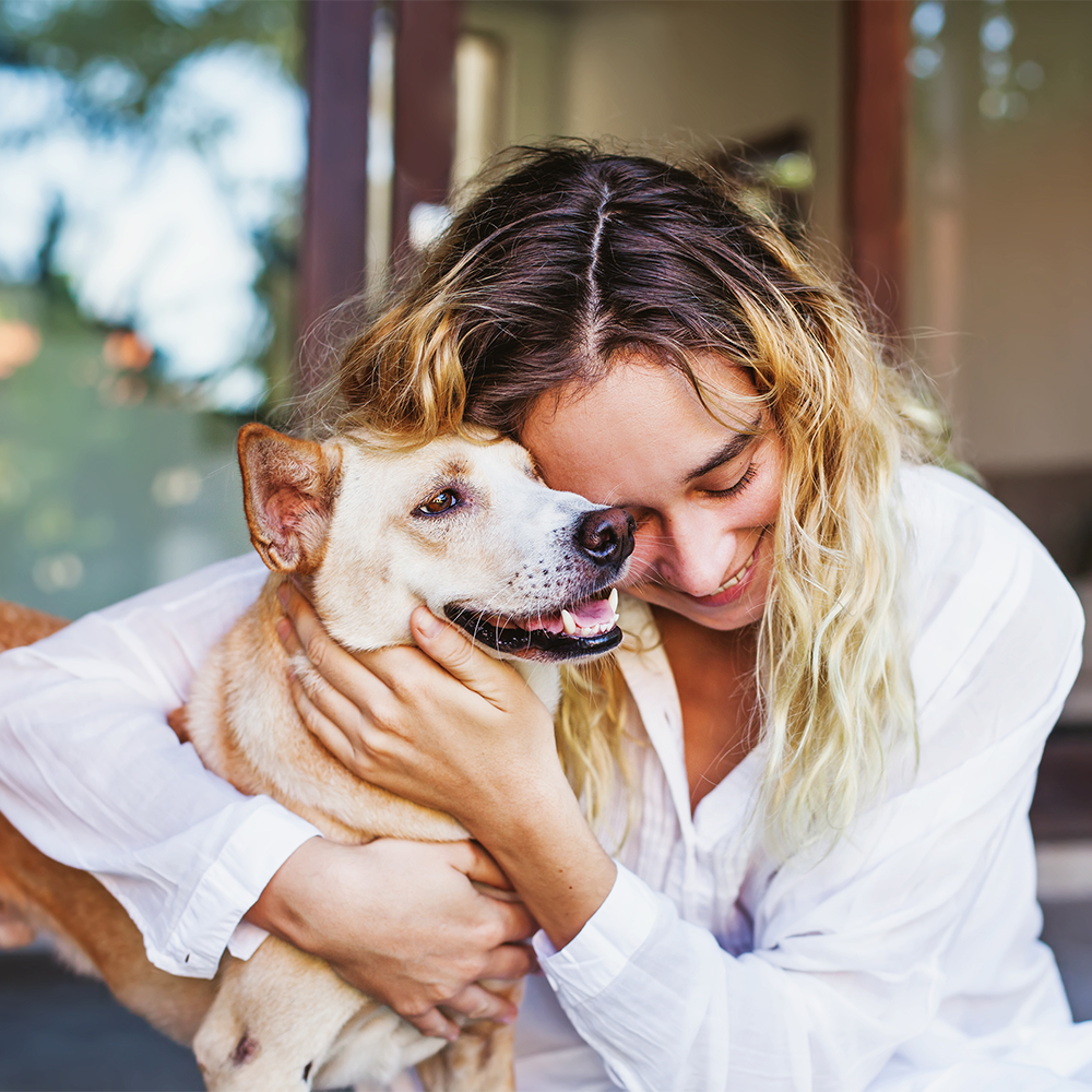 Gotcha Day Glory: Reflecting on the Joy of Pet Adoption