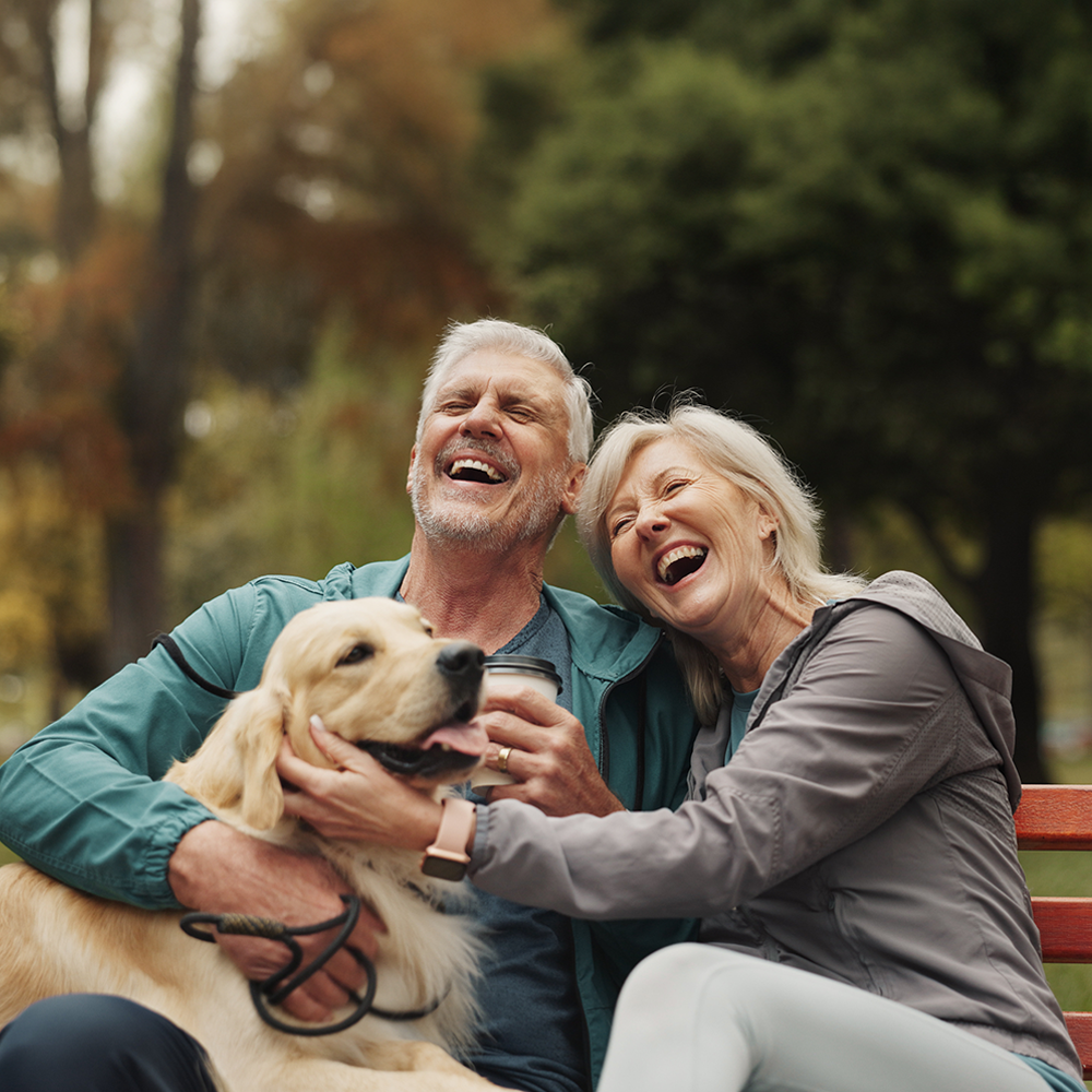 More Than Just a Pet: How Companionship Enriches Our Lives