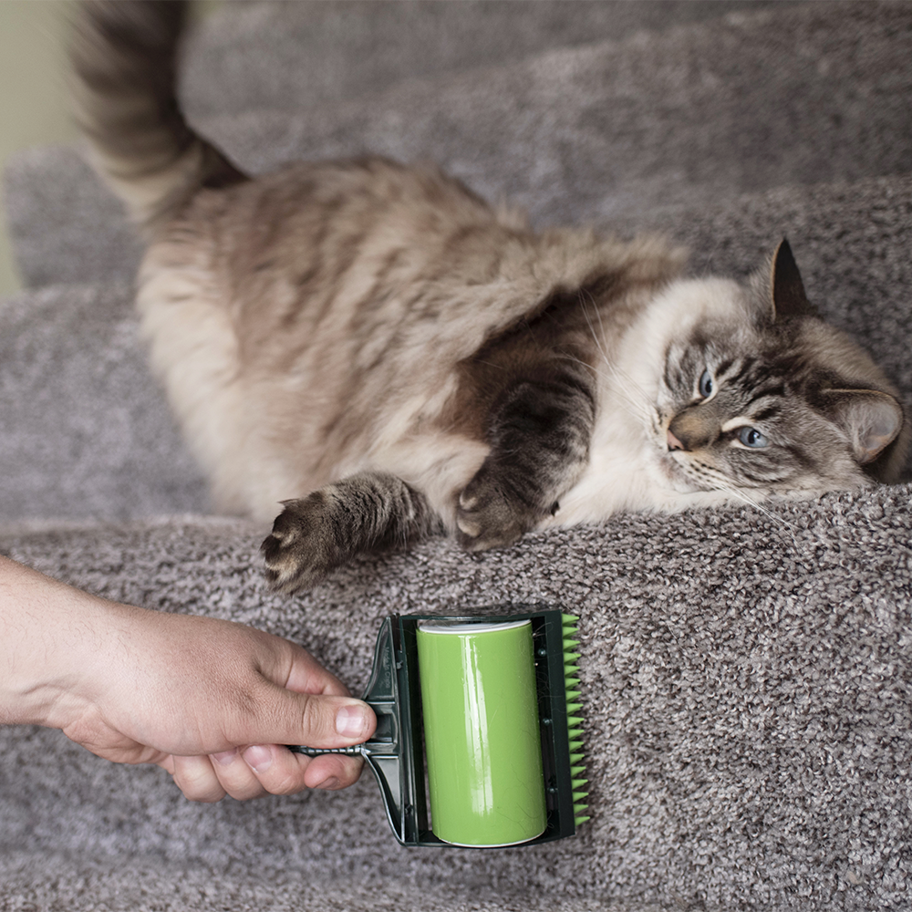 Conquer the Clutter: Unleash the Power of the Stick It! Deluxe Set!