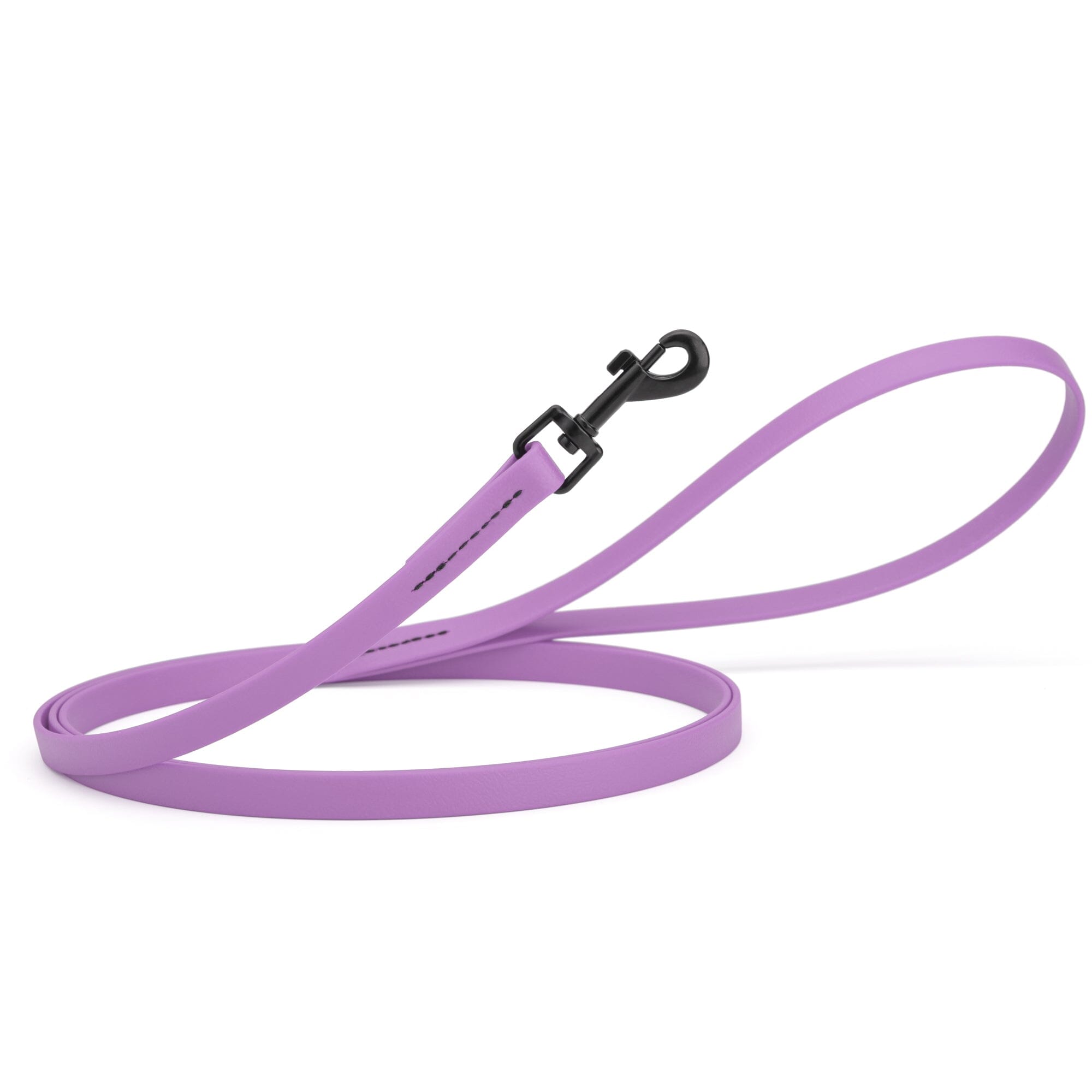 Biothane Waterproof Dog Leash 6 ft
