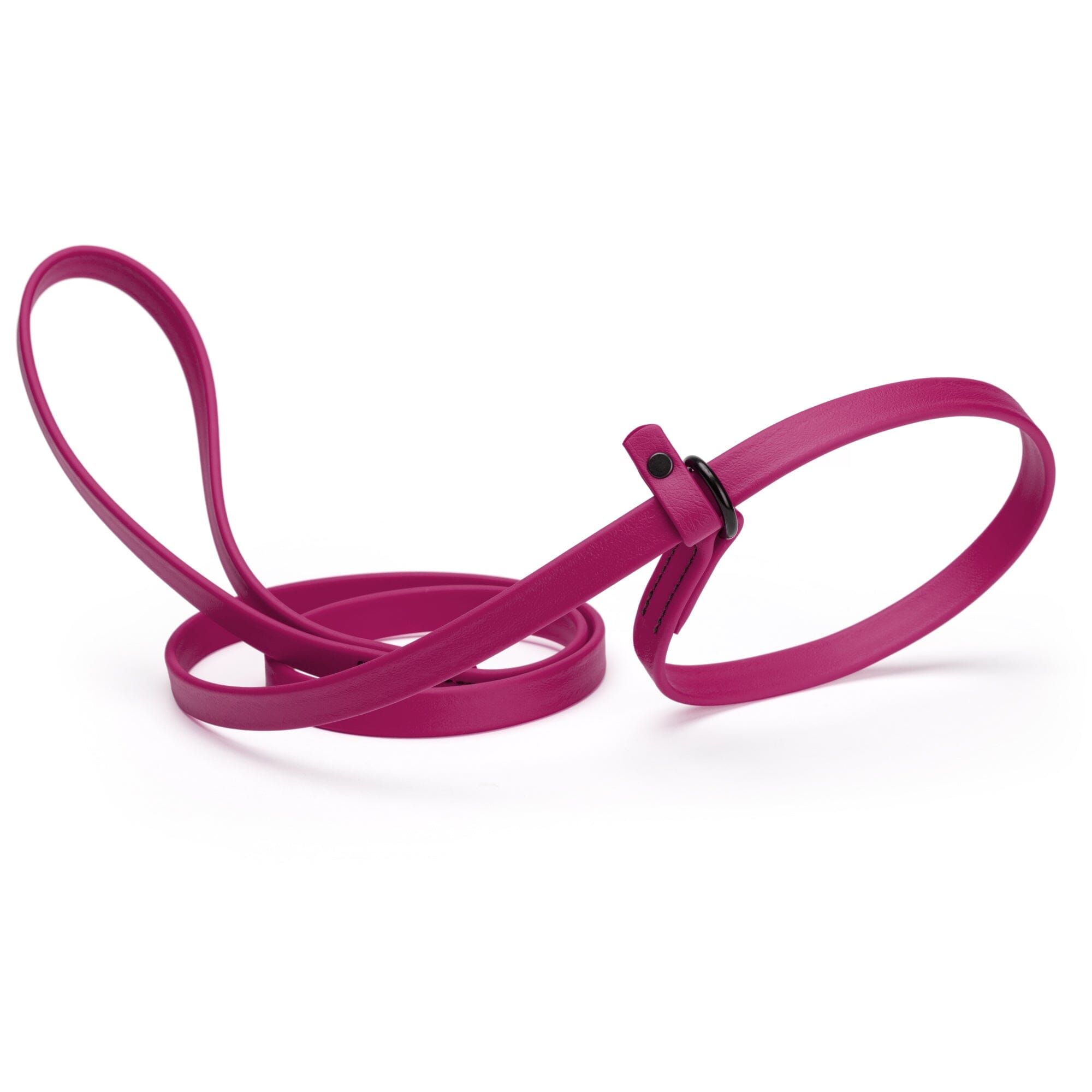 Biothane Slip Lead for Dogs, 5FT and 7FT