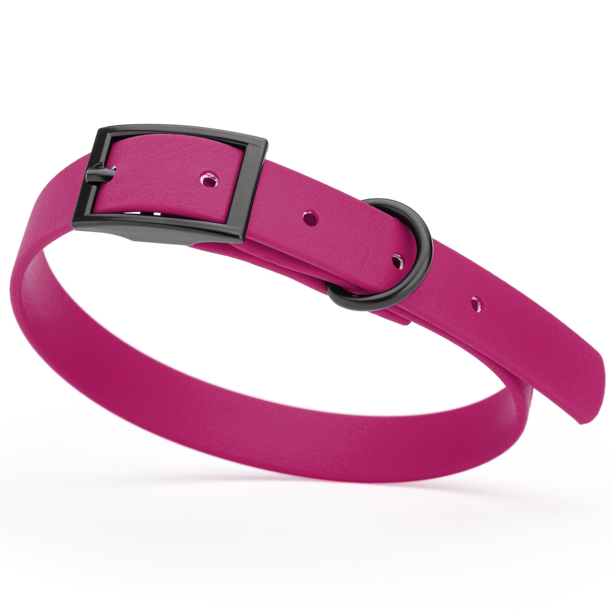 Biothane Waterproof Dog Collar - Small (12 to 15 inches)