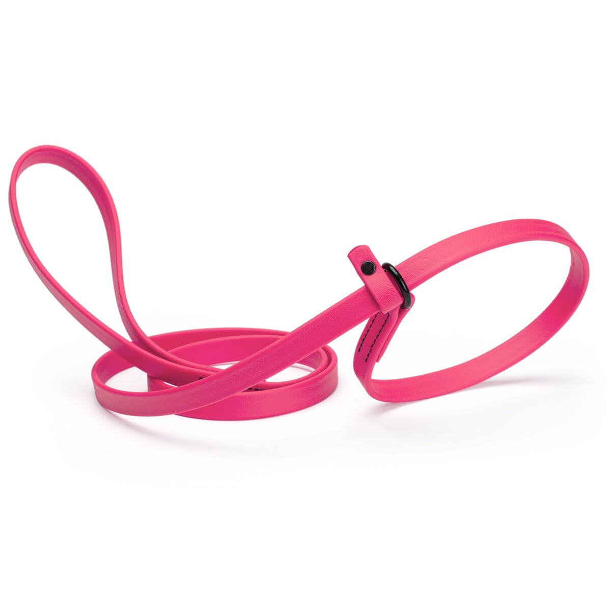 Biothane Slip Lead for Dogs, 5FT and 7FT