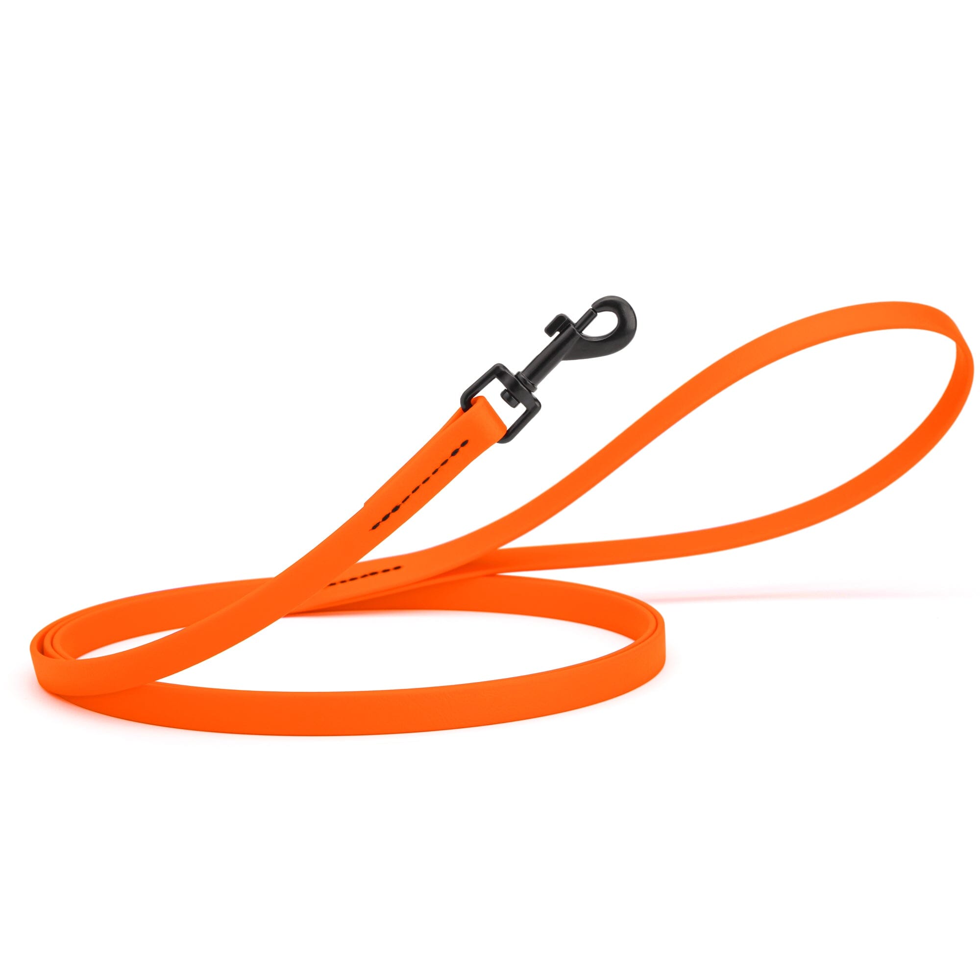 Biothane Waterproof Dog Leash 6 ft