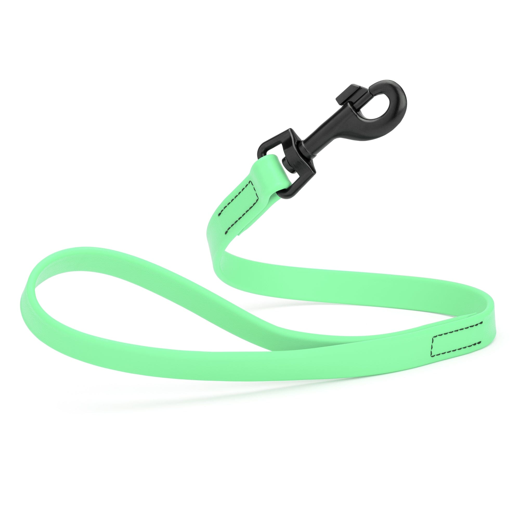 Biothane Waterproof Traffic Lead for Dogs, 2 ft