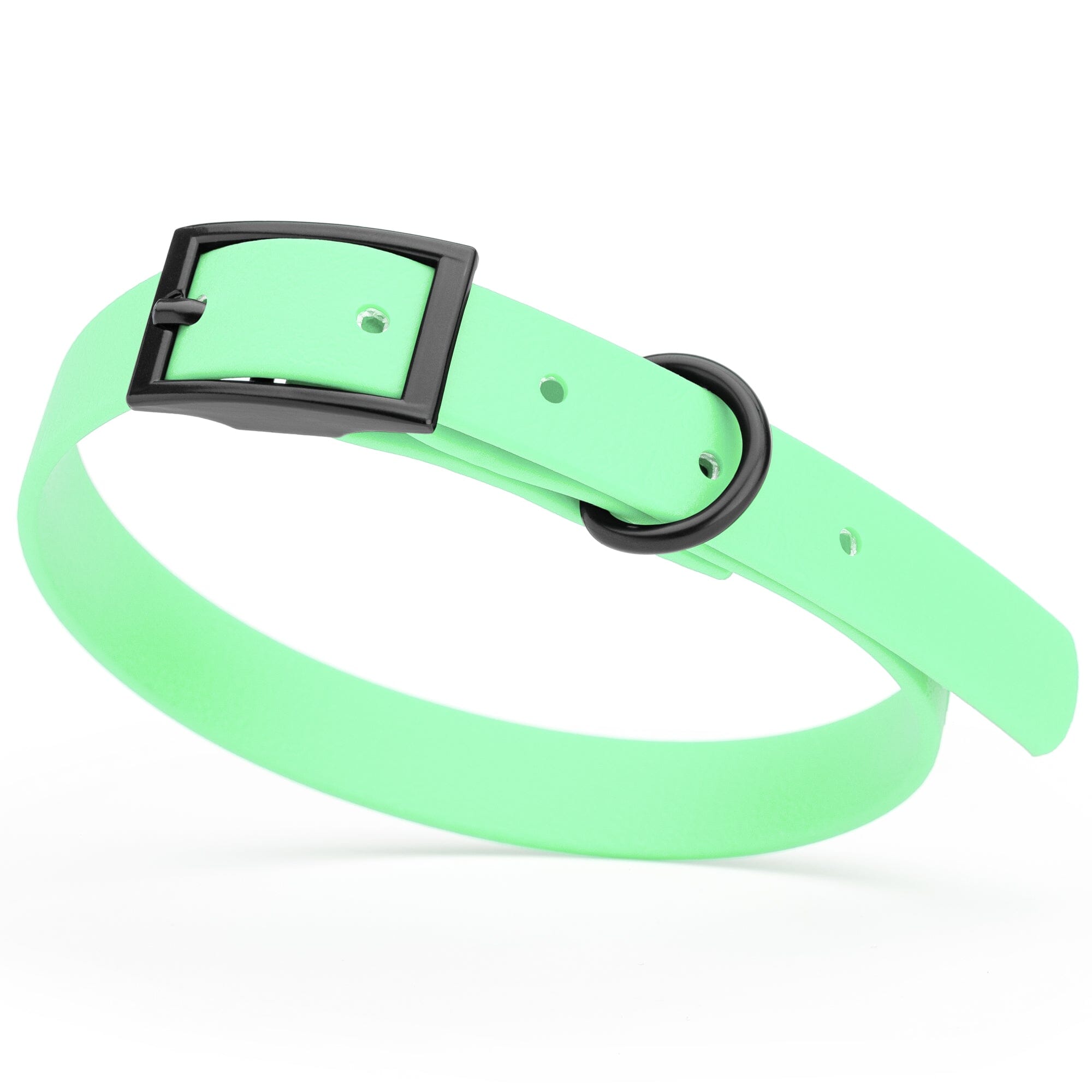 Biothane Waterproof Dog Collar - Small (12 to 15 inches)