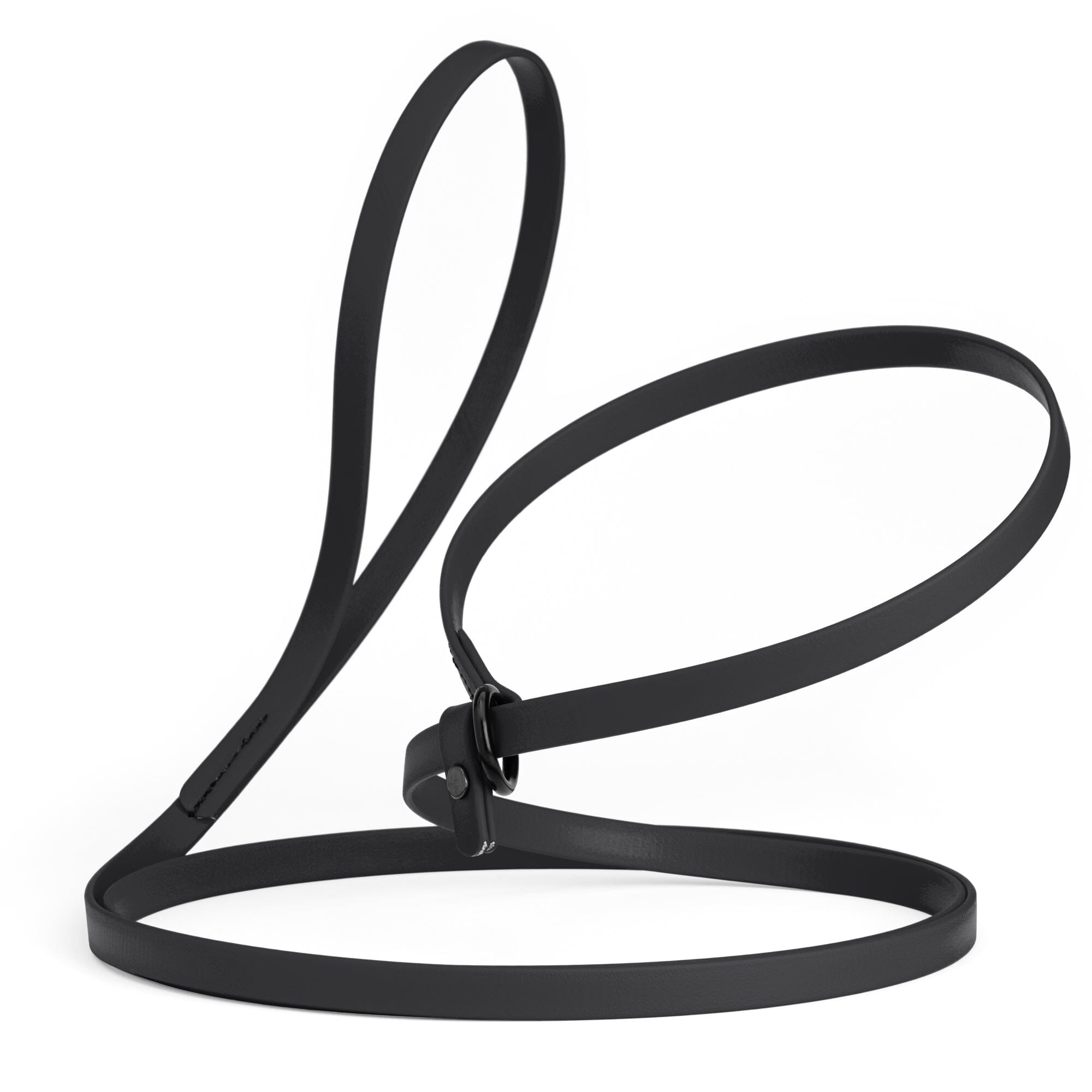 Biothane Slip Lead for Dogs, 5FT and 7FT