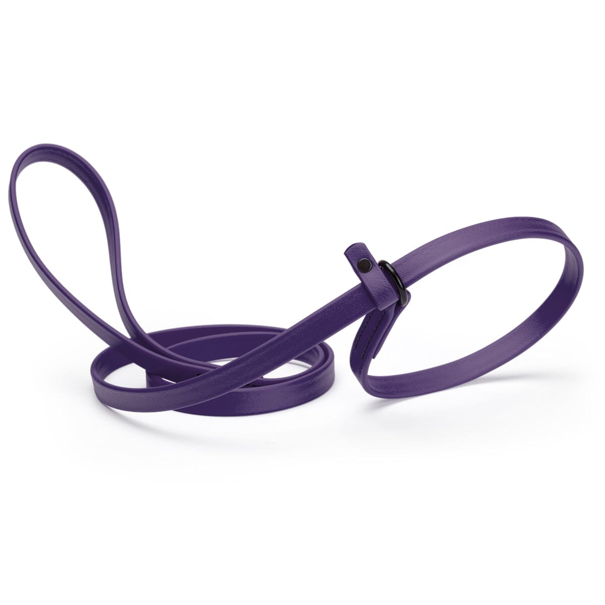 Biothane Slip Lead for Dogs, 5FT and 7FT