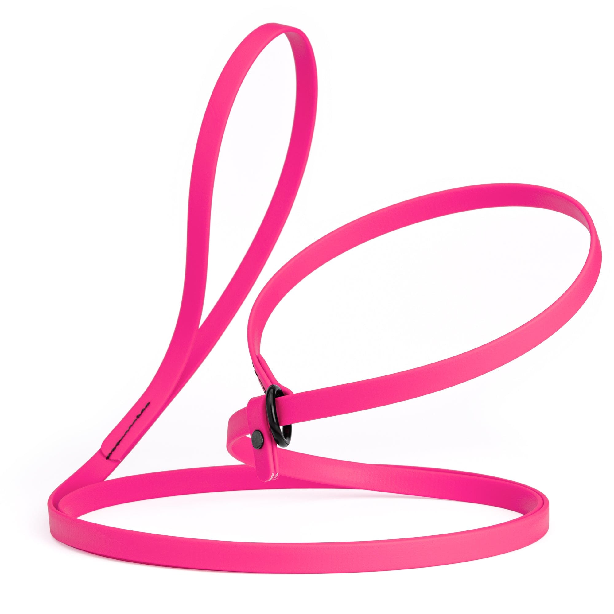 Biothane Slip Lead for Dogs, 5FT and 7FT