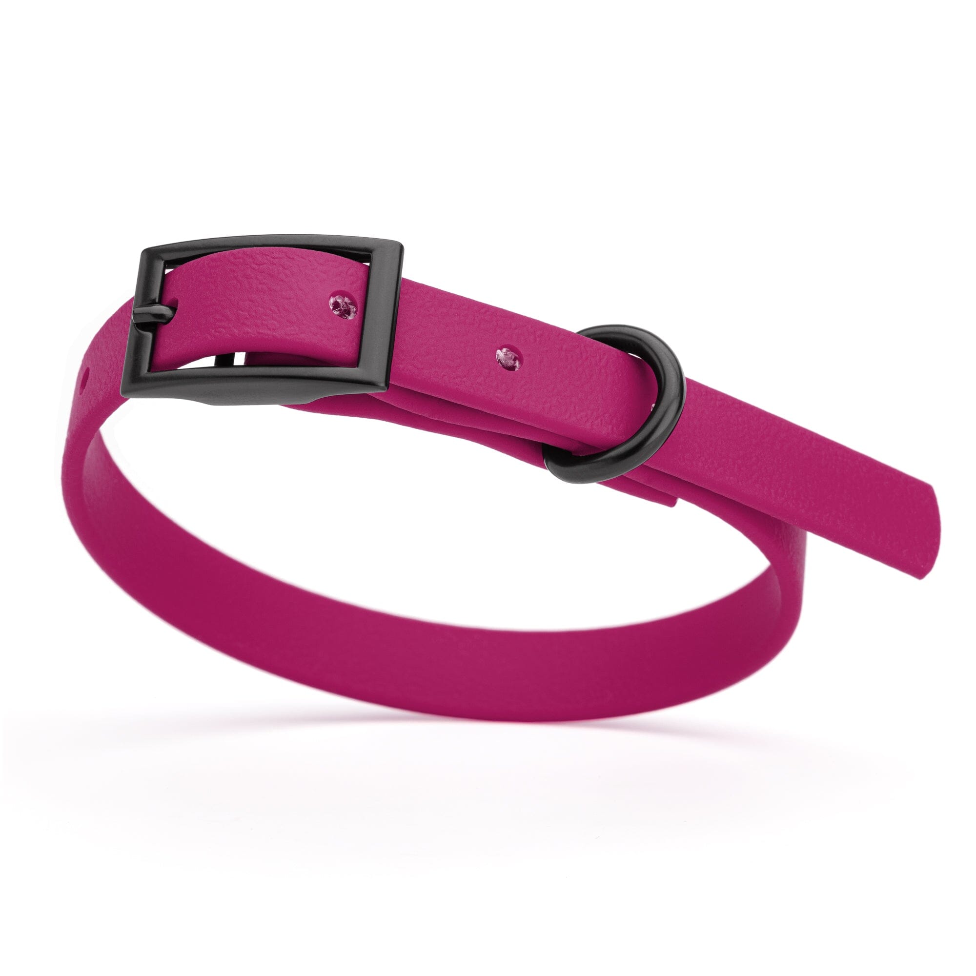 Biothane Waterproof Dog Collar - X-Small (9 to 12 inches)
