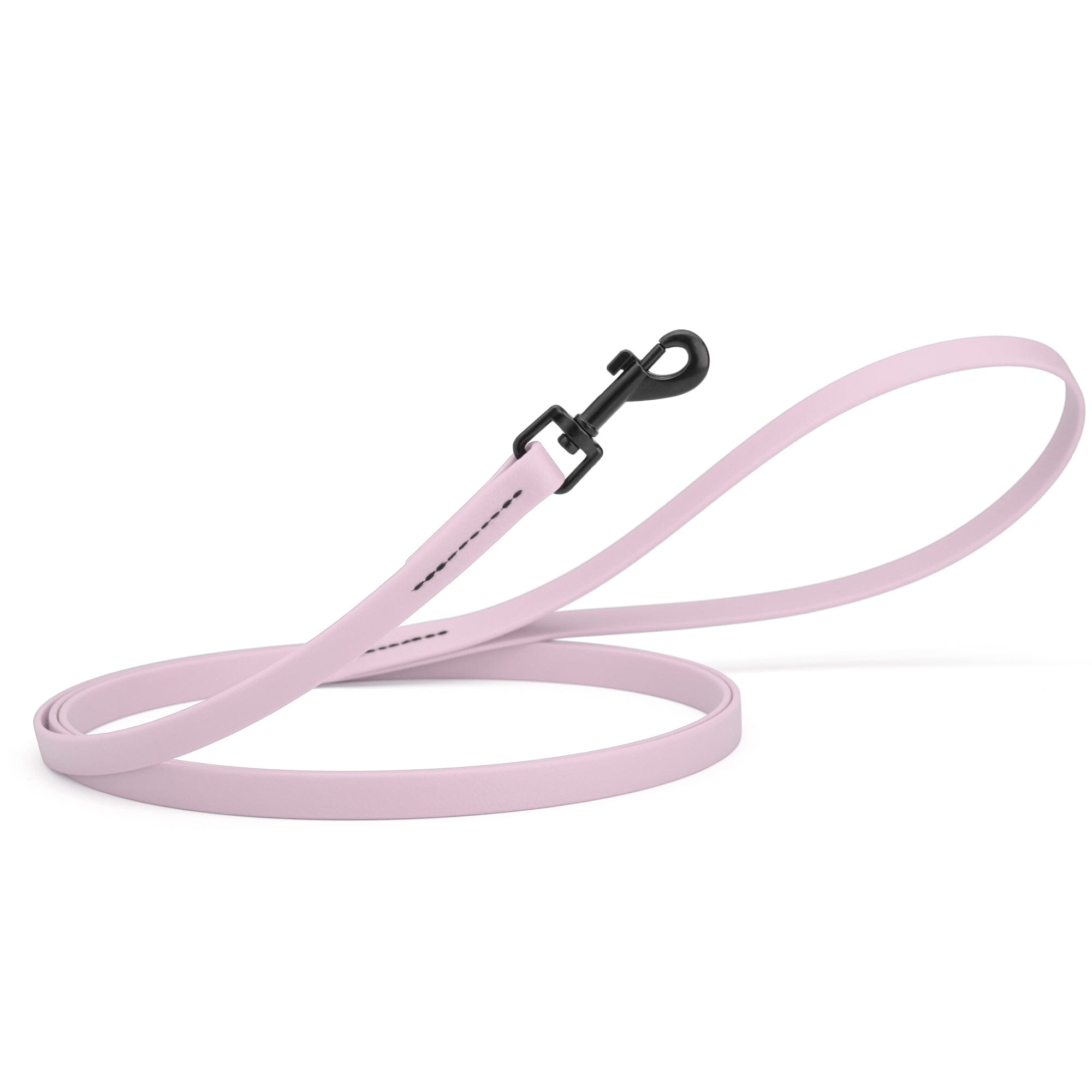 Biothane Waterproof Dog Leash 6 ft