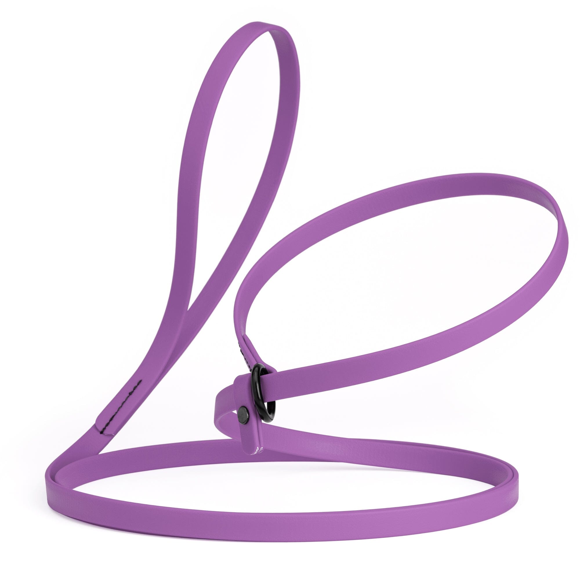 Biothane Slip Lead for Dogs, 5FT and 7FT