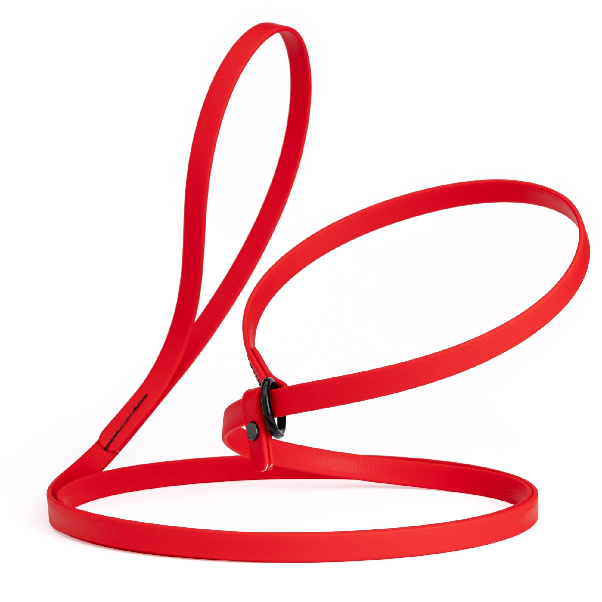 Biothane Slip Lead for Dogs, 5FT and 7FT