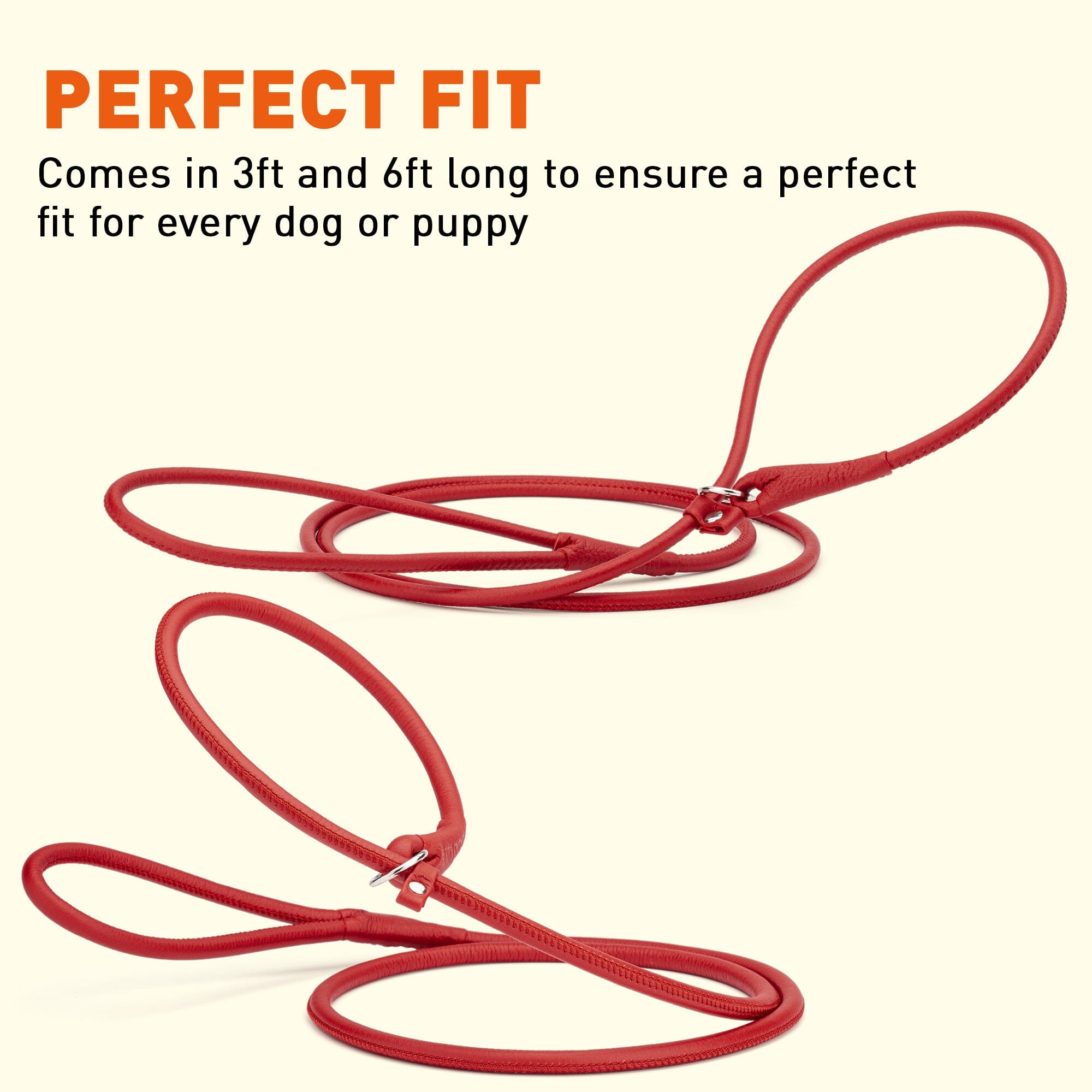 Soft Leather Round Slip Lead for Dogs