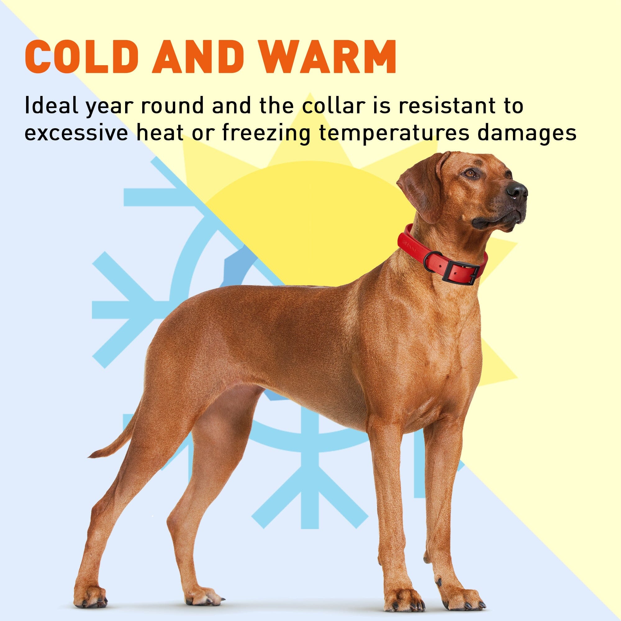 Biothane Waterproof Dog Collar - Large (18 to 22 inches)