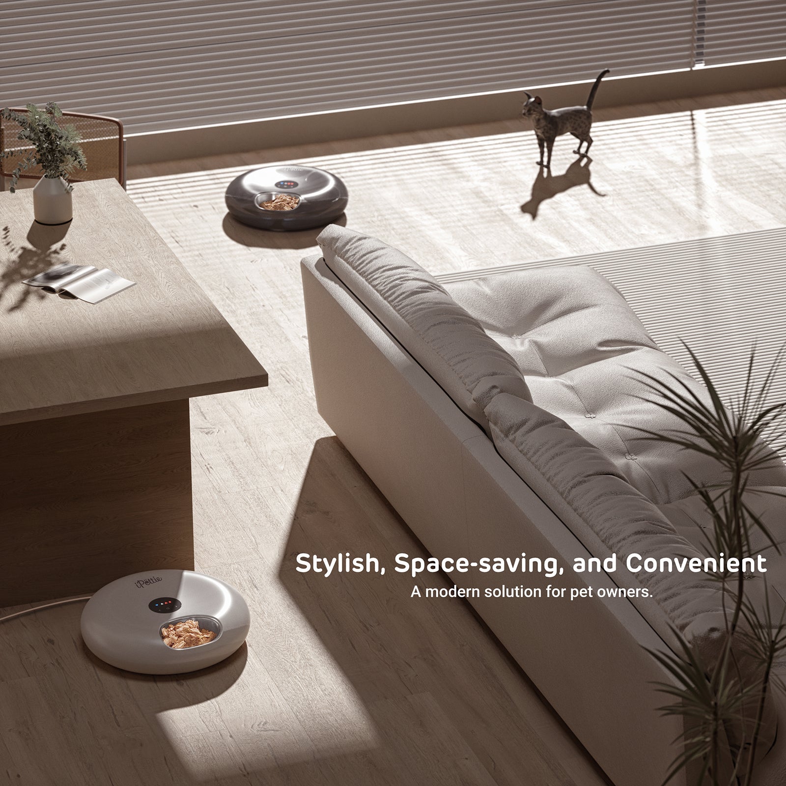 Donut Frost Automatic Pet Feeder, WiFi Version