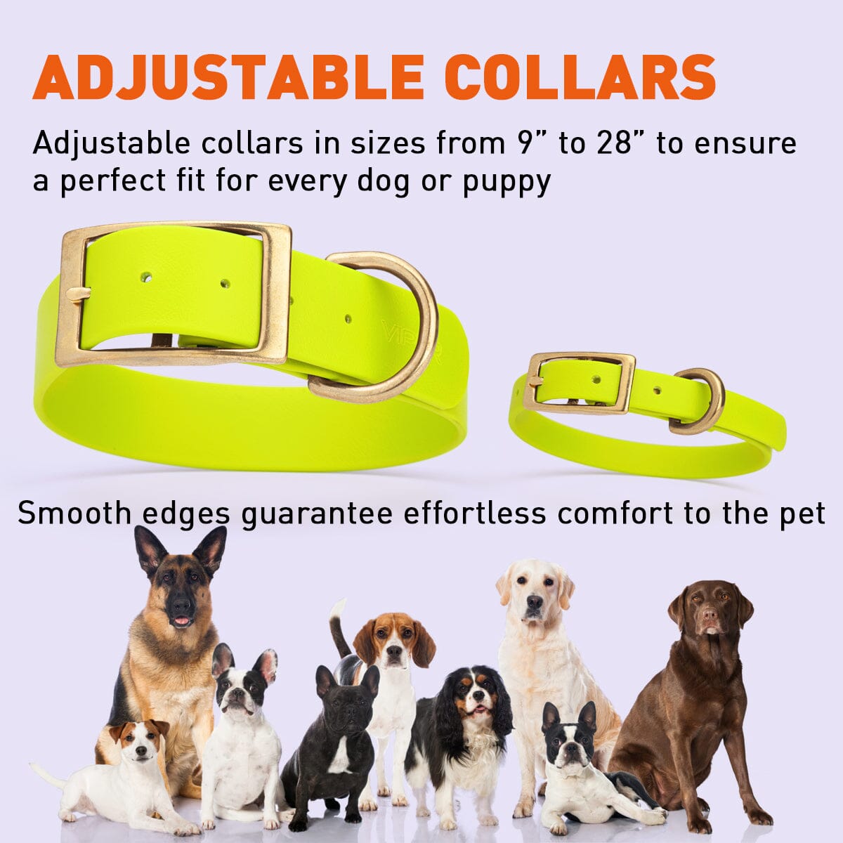 Viper Biothane Waterproof Dog Collar - Brass Hardware - 1.5in Wide - Size L (16" - 20")