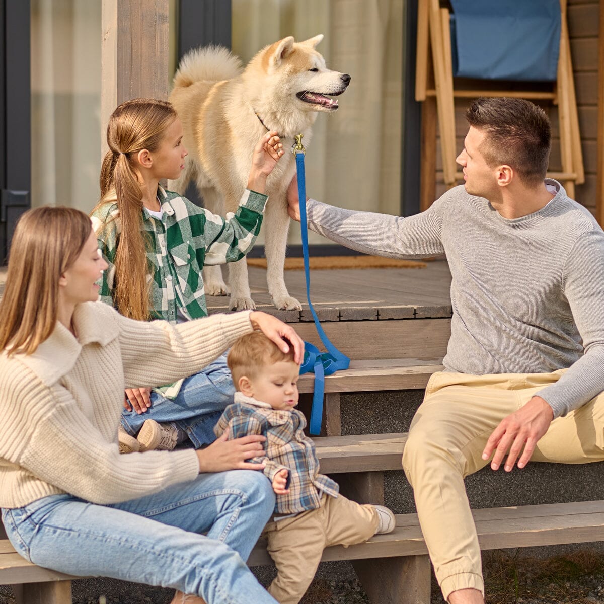 Viper Biothane Working Lead 6 ft