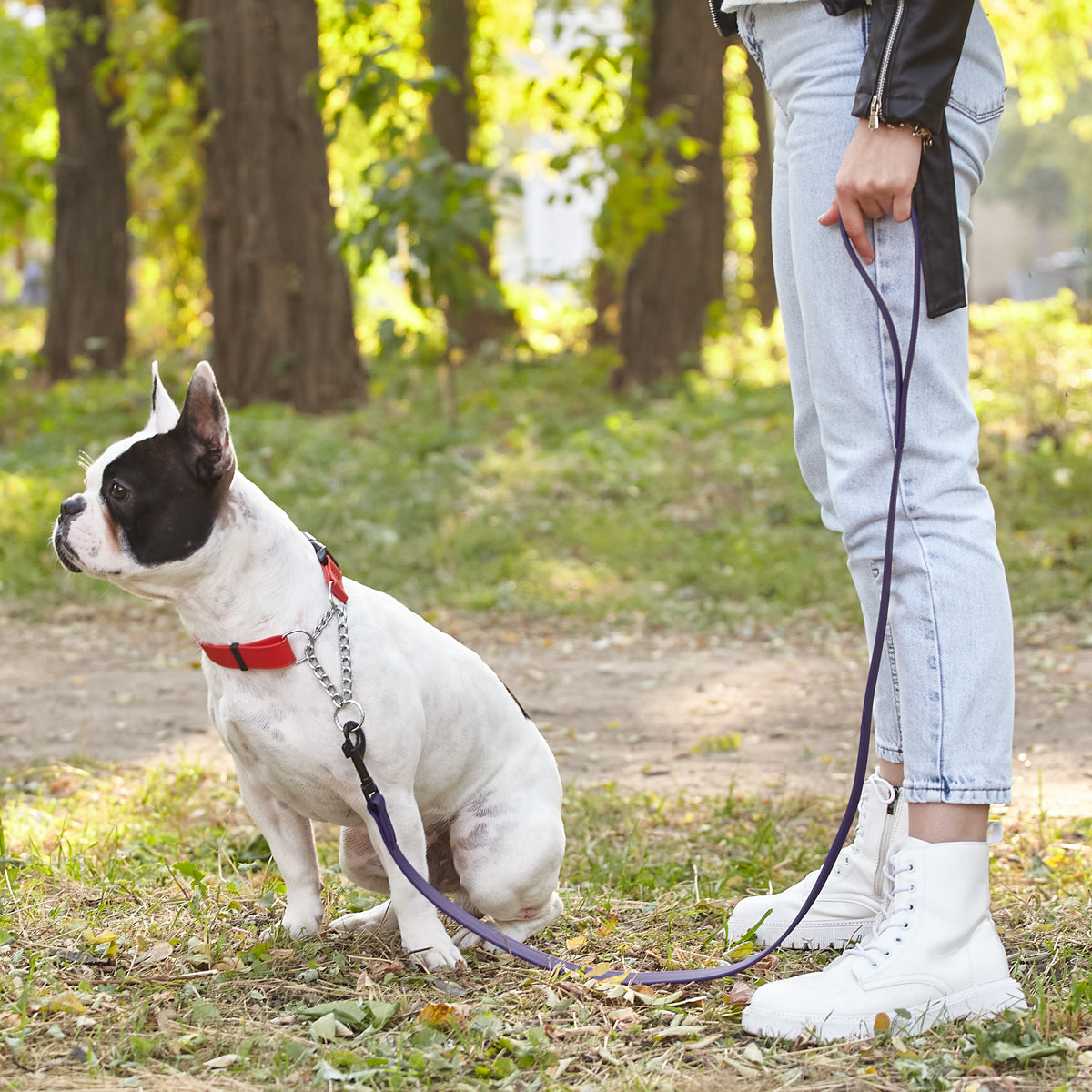 Biothane Waterproof Dog Leash, 4 ft