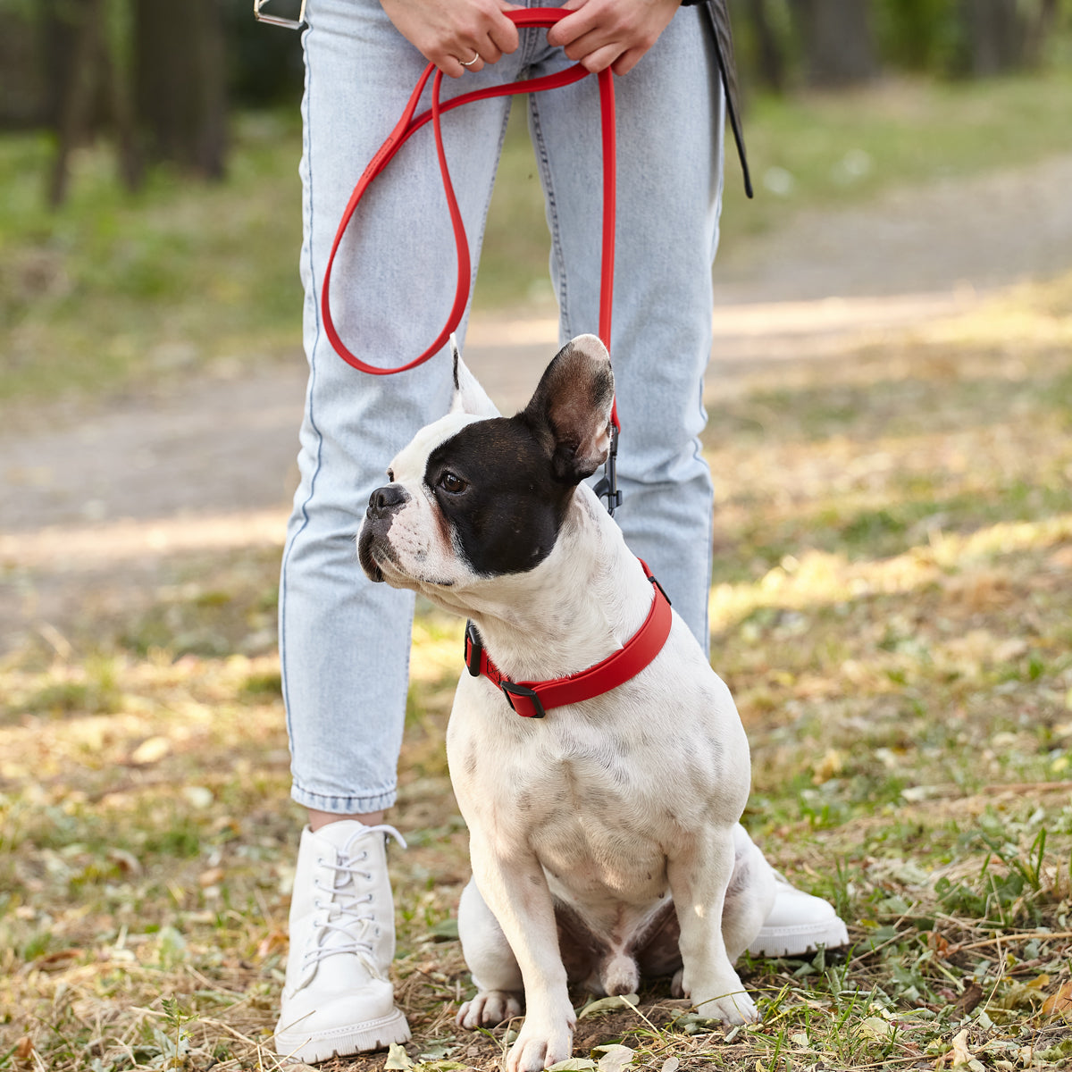 Biothane Waterproof Dog Leash, 4 ft