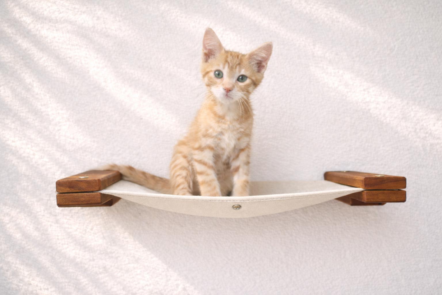 Cat Wall Hammock - Hanging Cat Beds - by Catastrophic Creations