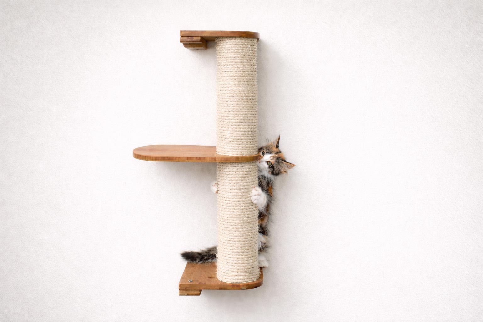 Cat Scratching Pole (Wall-Mounted) - by Catastrophic Creations