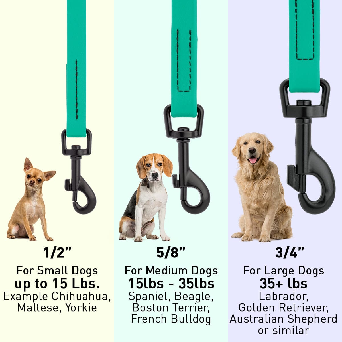 Biothane Waterproof Dog Leash 6 ft