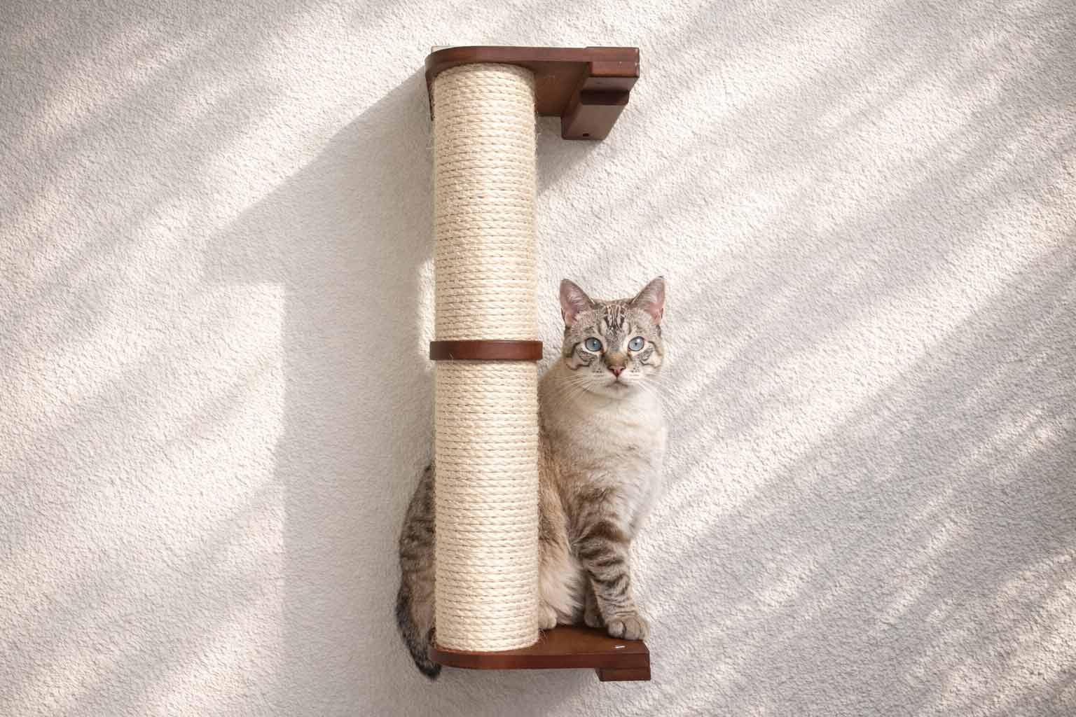 Cat Scratching Pole (Wall-Mounted) - by Catastrophic Creations