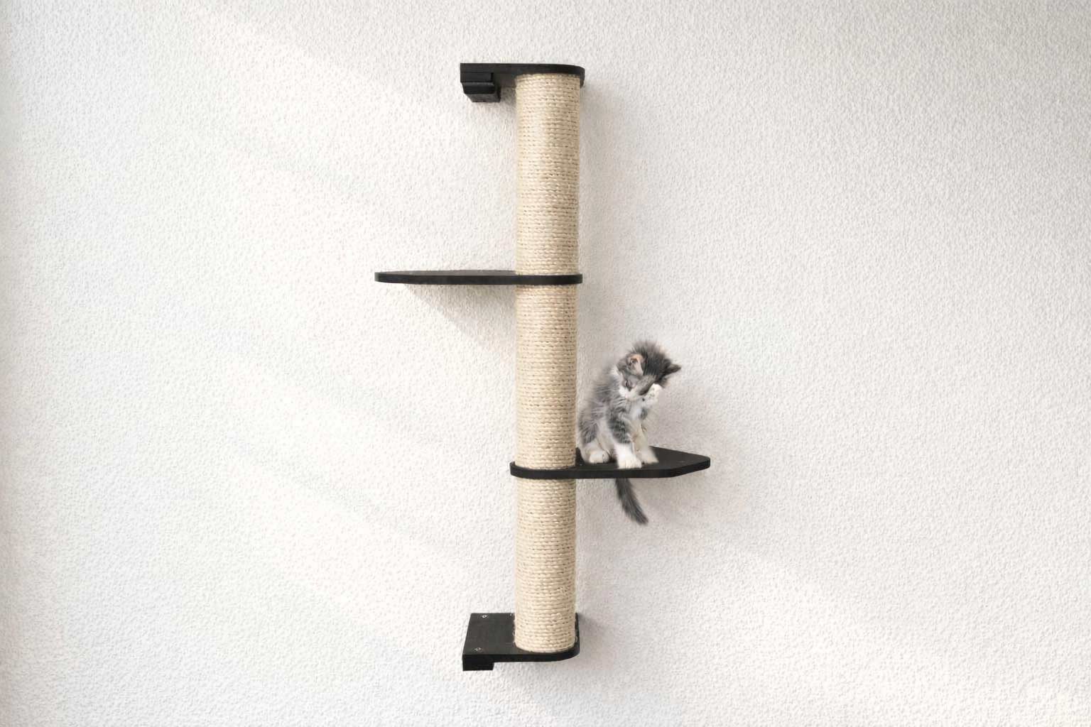 Cat Scratching Pole (Wall-Mounted) - by Catastrophic Creations