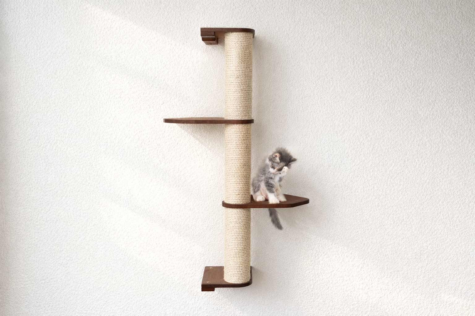 Cat Scratching Pole (Wall-Mounted) - by Catastrophic Creations