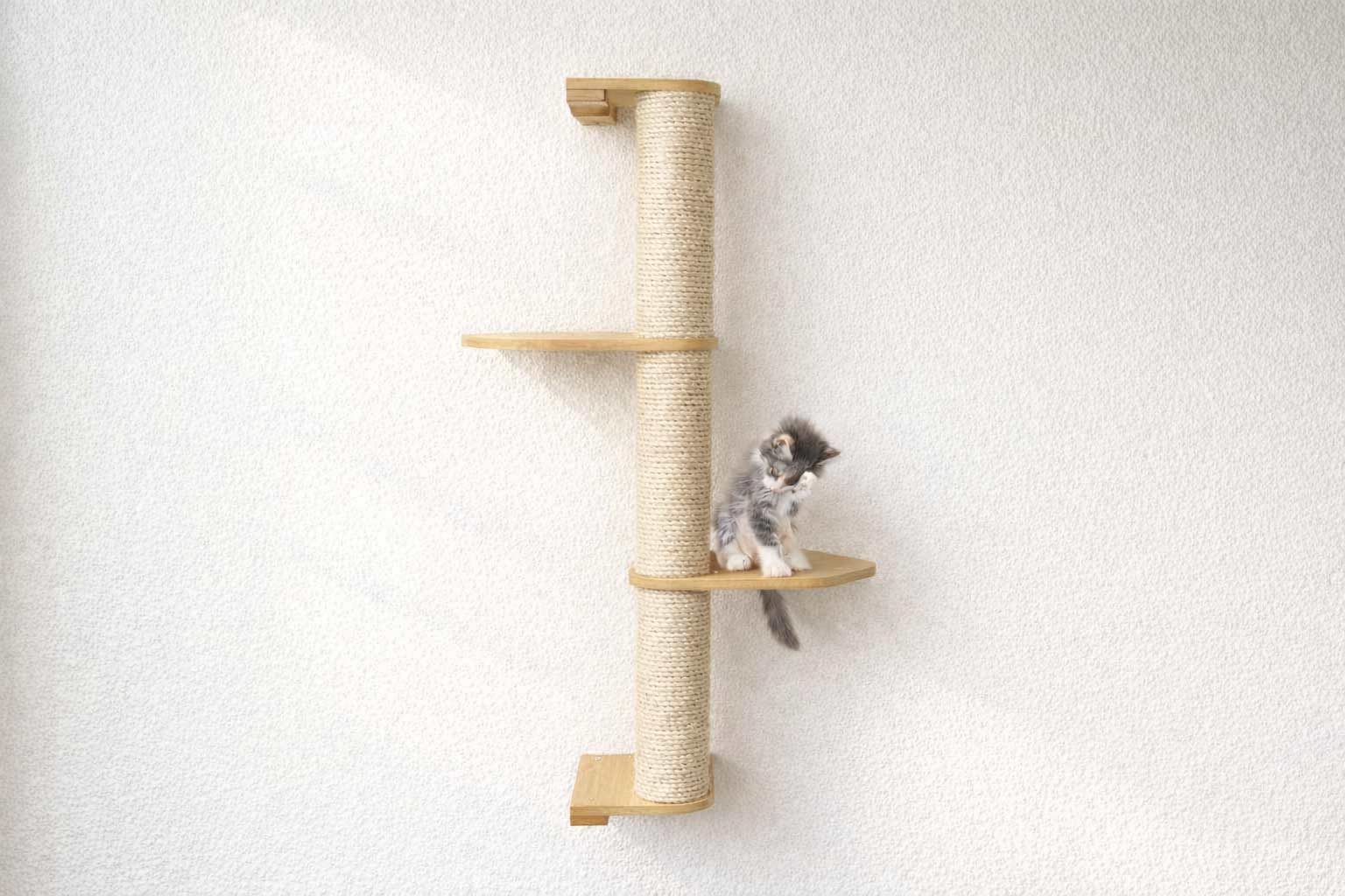 Cat Scratching Pole (Wall-Mounted) - by Catastrophic Creations
