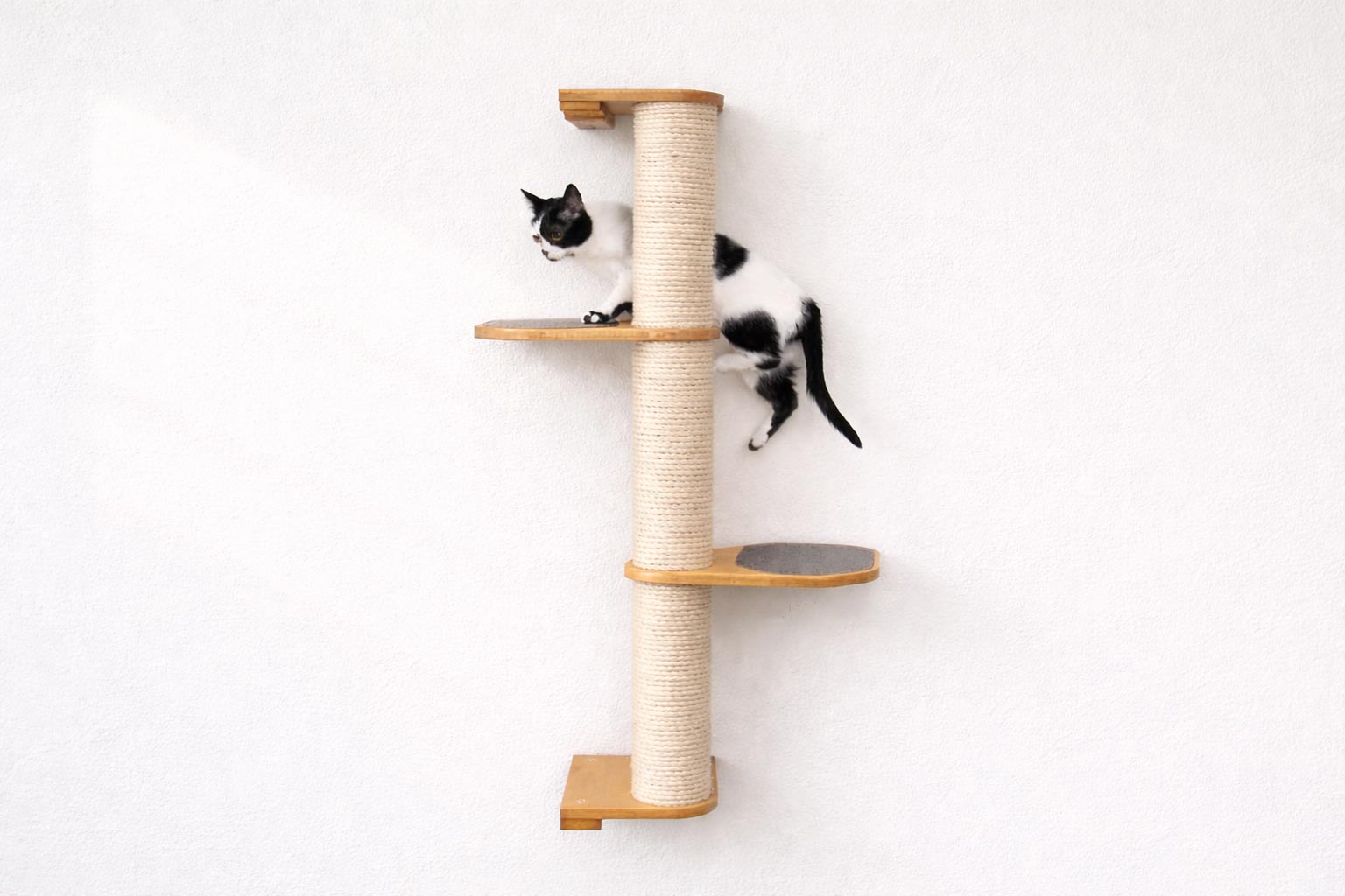 Cat Scratching Pole (Wall-Mounted) - by Catastrophic Creations