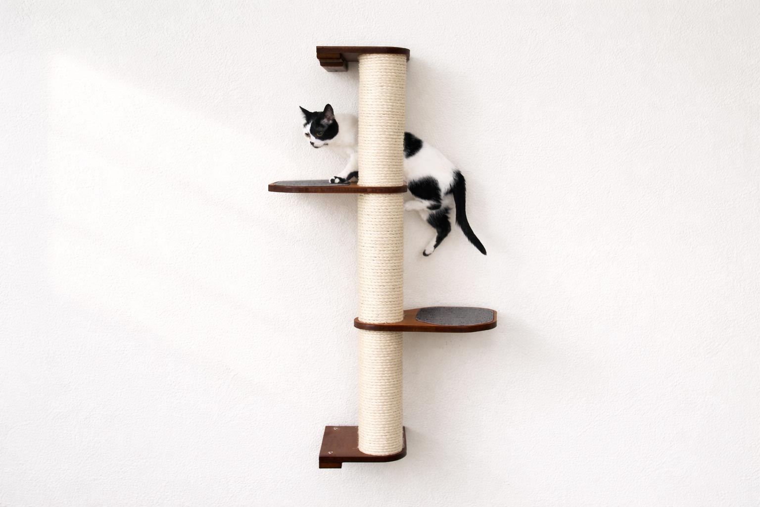 Cat Scratching Pole (Wall-Mounted) - by Catastrophic Creations
