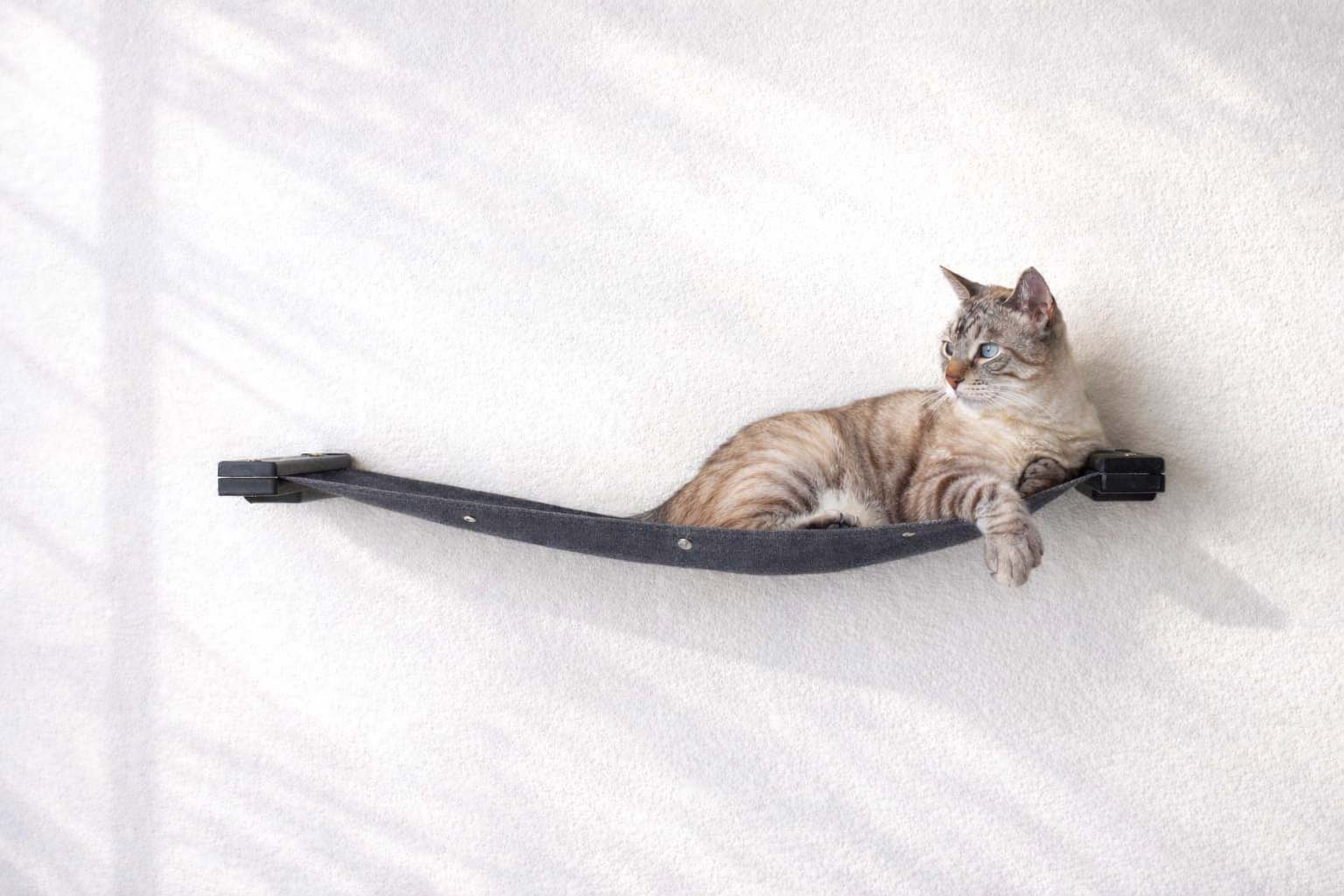 Cat Wall Hammock - Hanging Cat Beds - by Catastrophic Creations