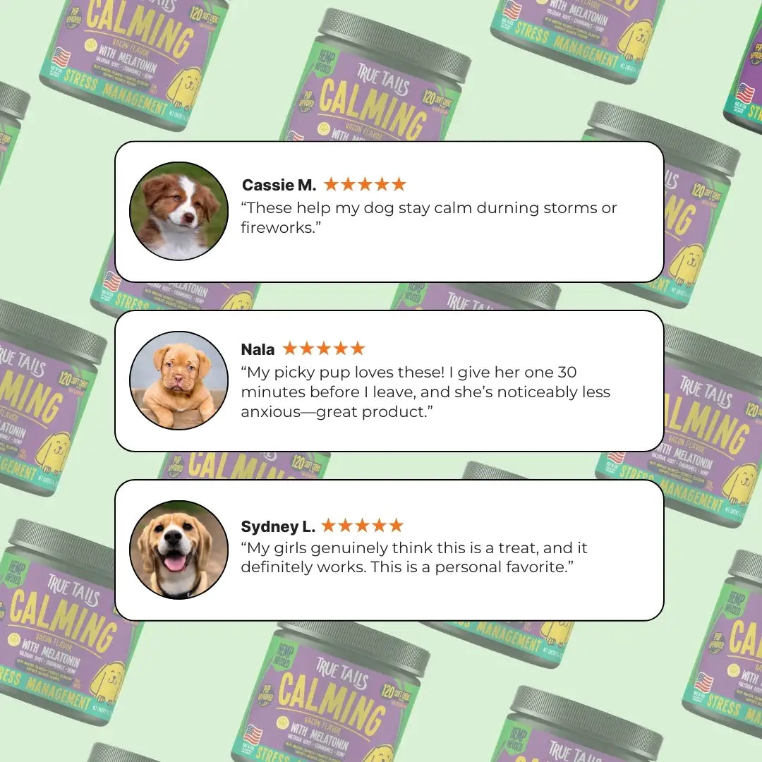 Calming Support With Hemp For Dogs 9oz Jar (120 Count)