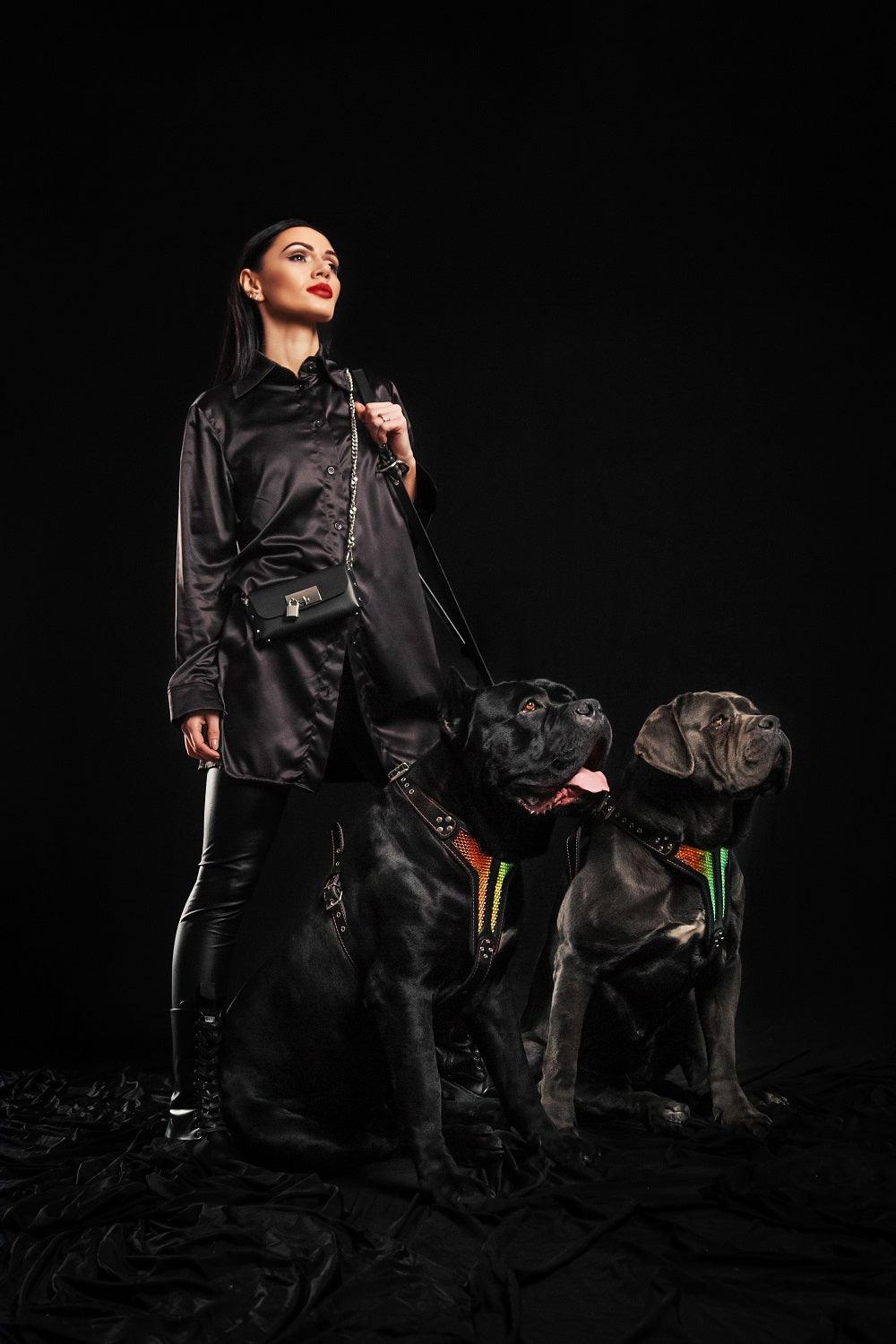 The ''D`Albertis'' harness LIMITED