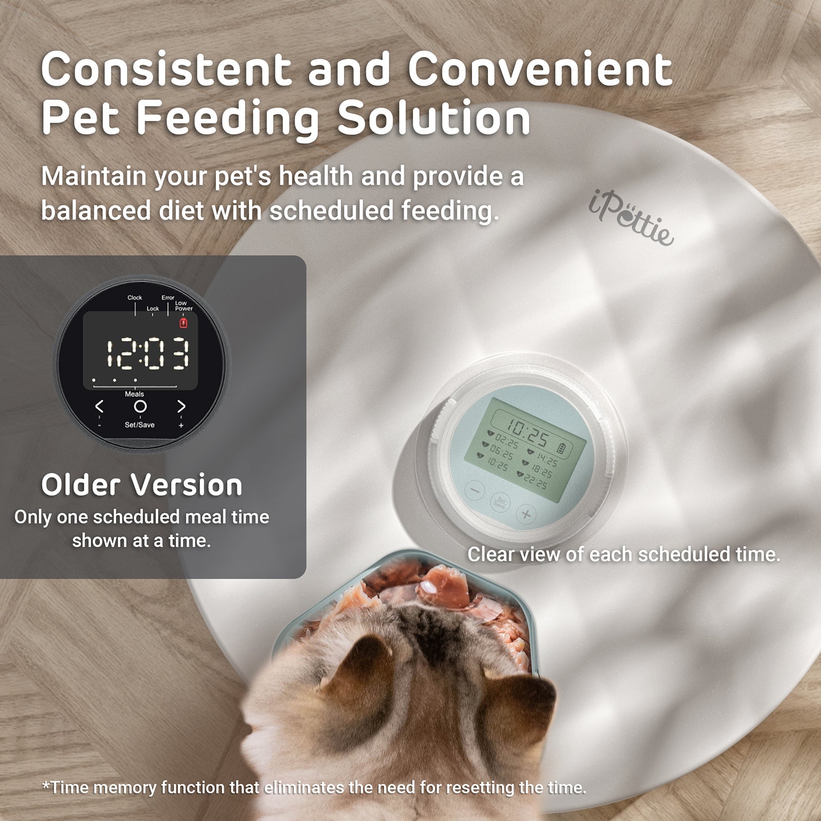 Brioche 6 Meal Cordless Automatic Pet Feeder with Two Ice Packs