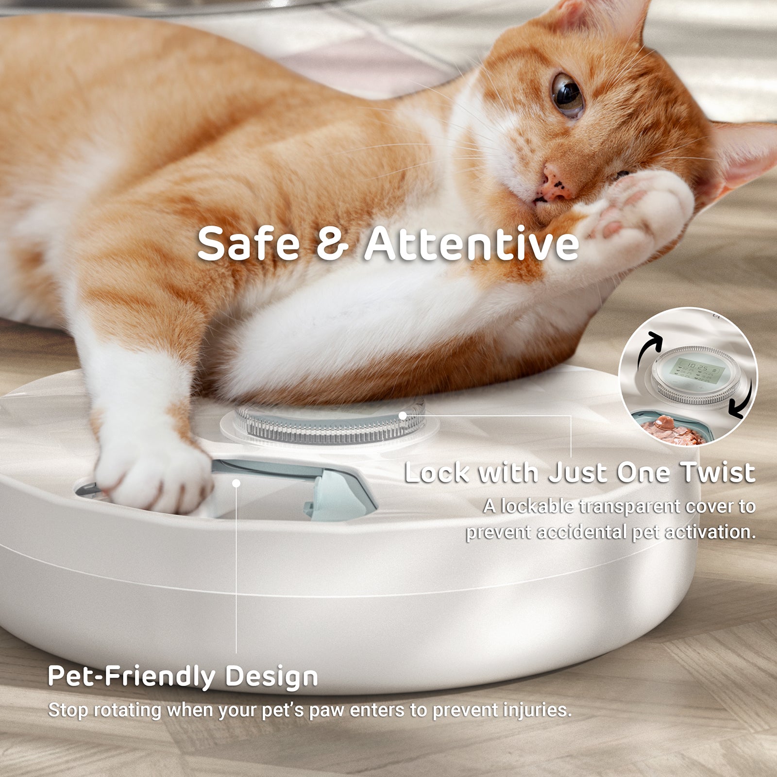 Brioche 6 Meal Cordless Automatic Pet Feeder with Two Ice Packs