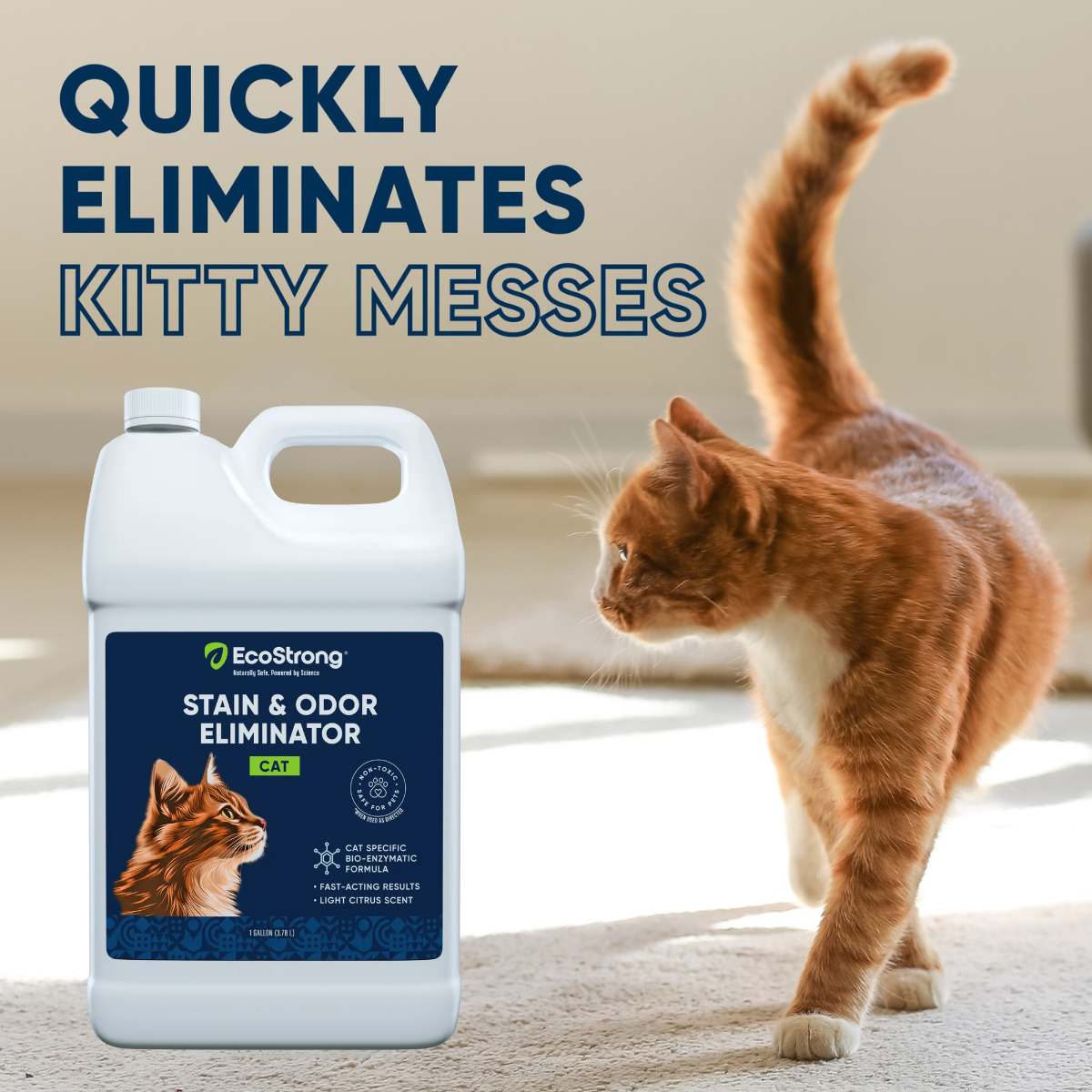 Cat Stain and Odor Eliminator