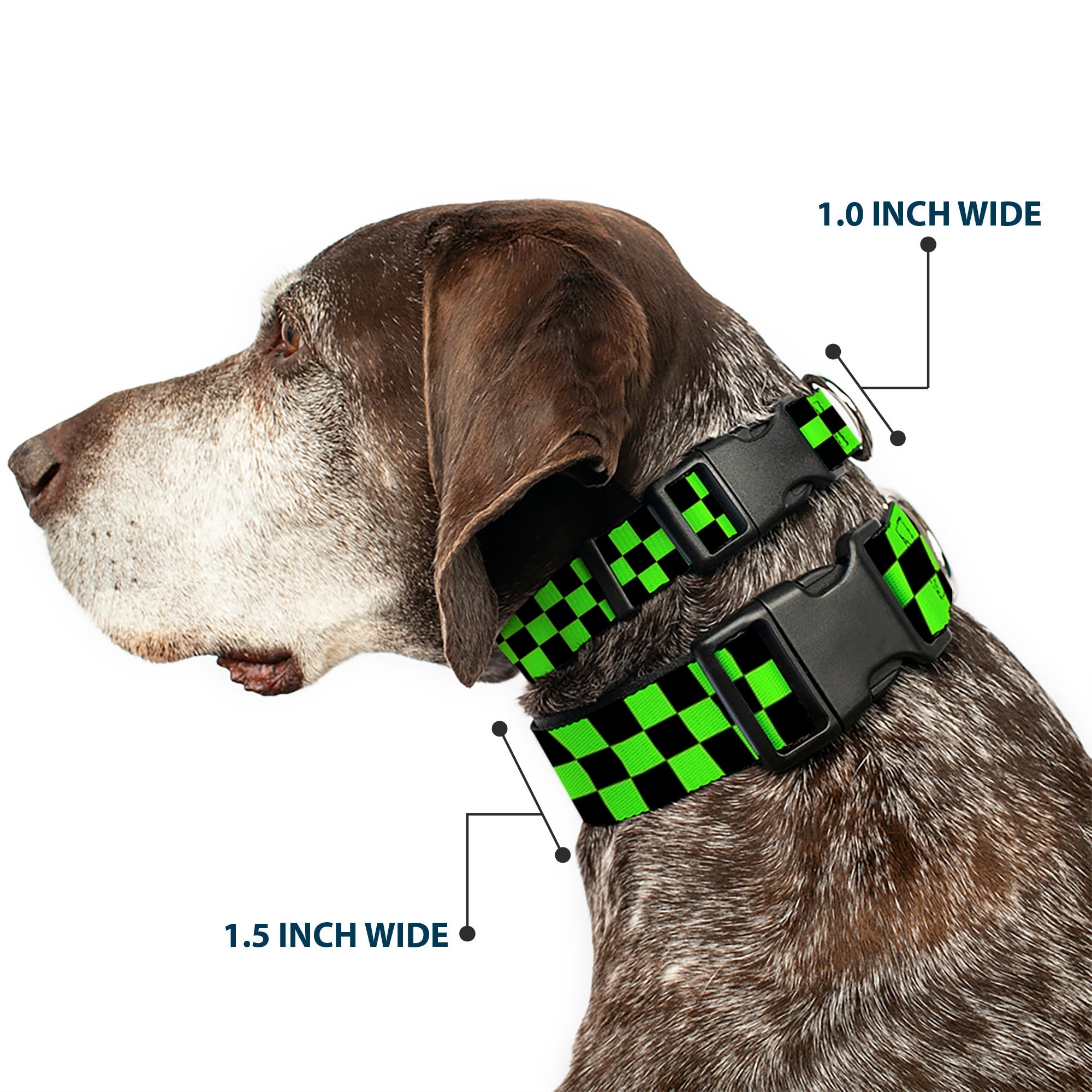 Plastic Clip Collar - Checker Black/Neon Green