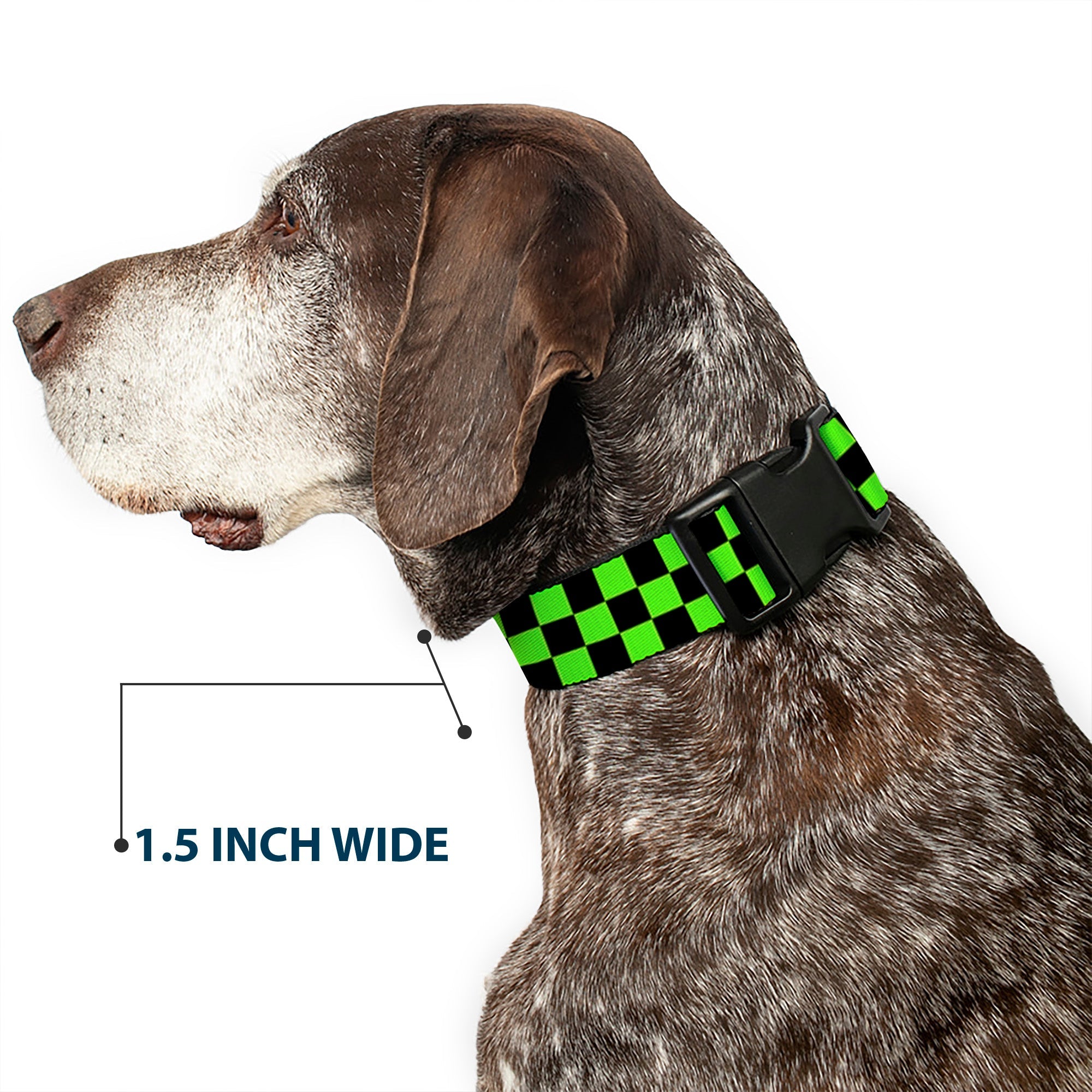 Plastic Clip Collar - Checker Black/Neon Green
