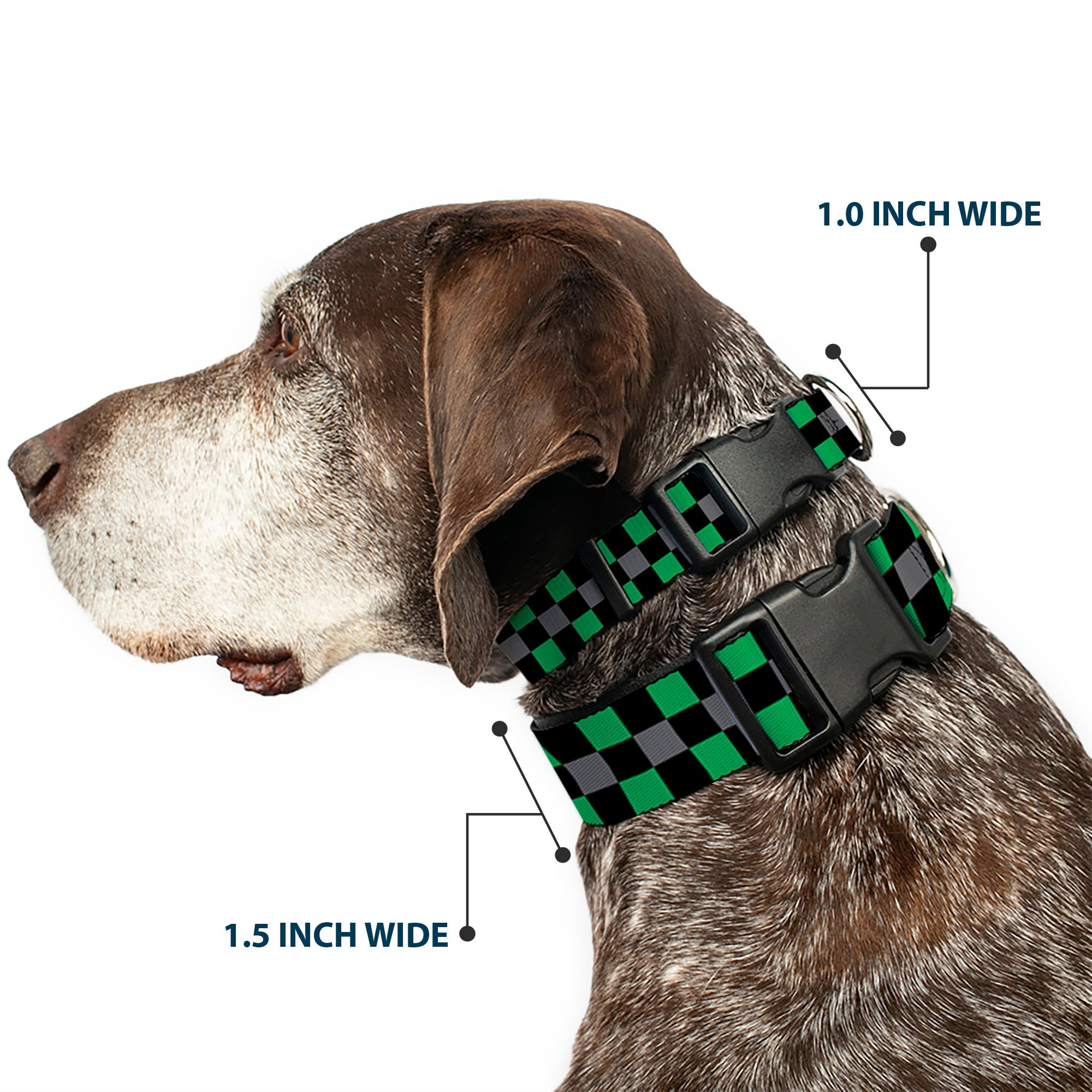 Plastic Clip Collar - Checker Black/Gray/2 Green