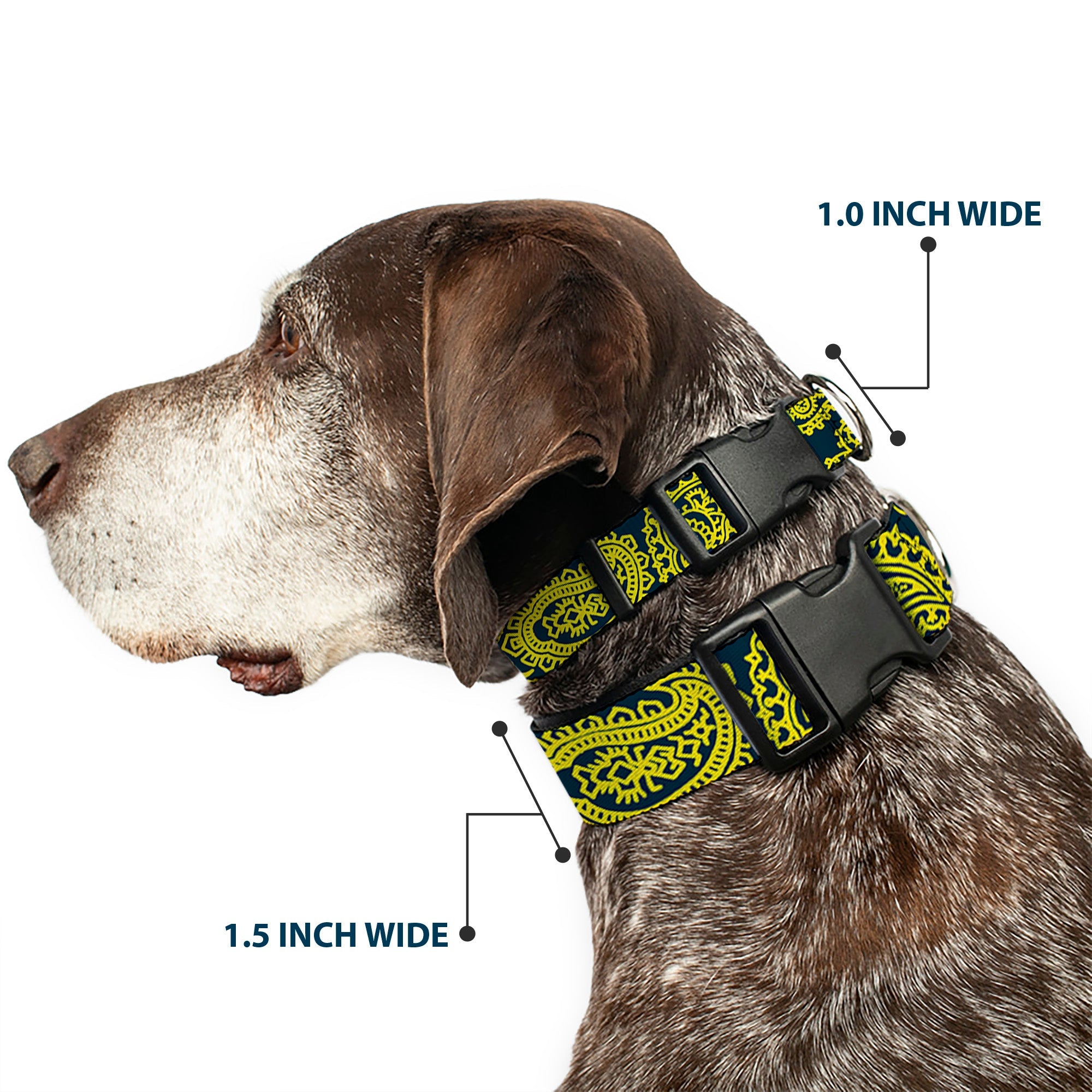 Plastic Clip Collar - Bandana/Skulls Green/Gold