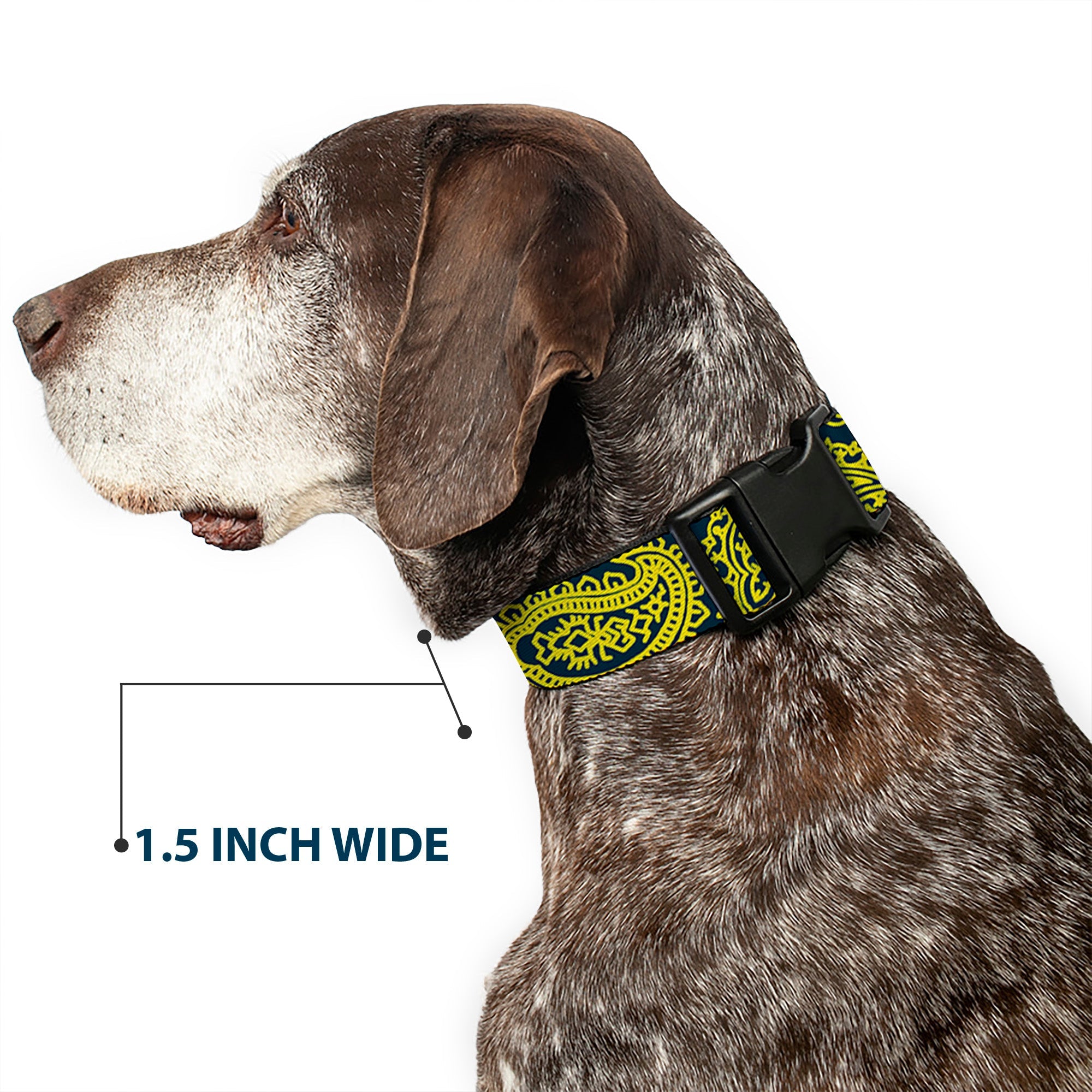 Plastic Clip Collar - Bandana/Skulls Green/Gold