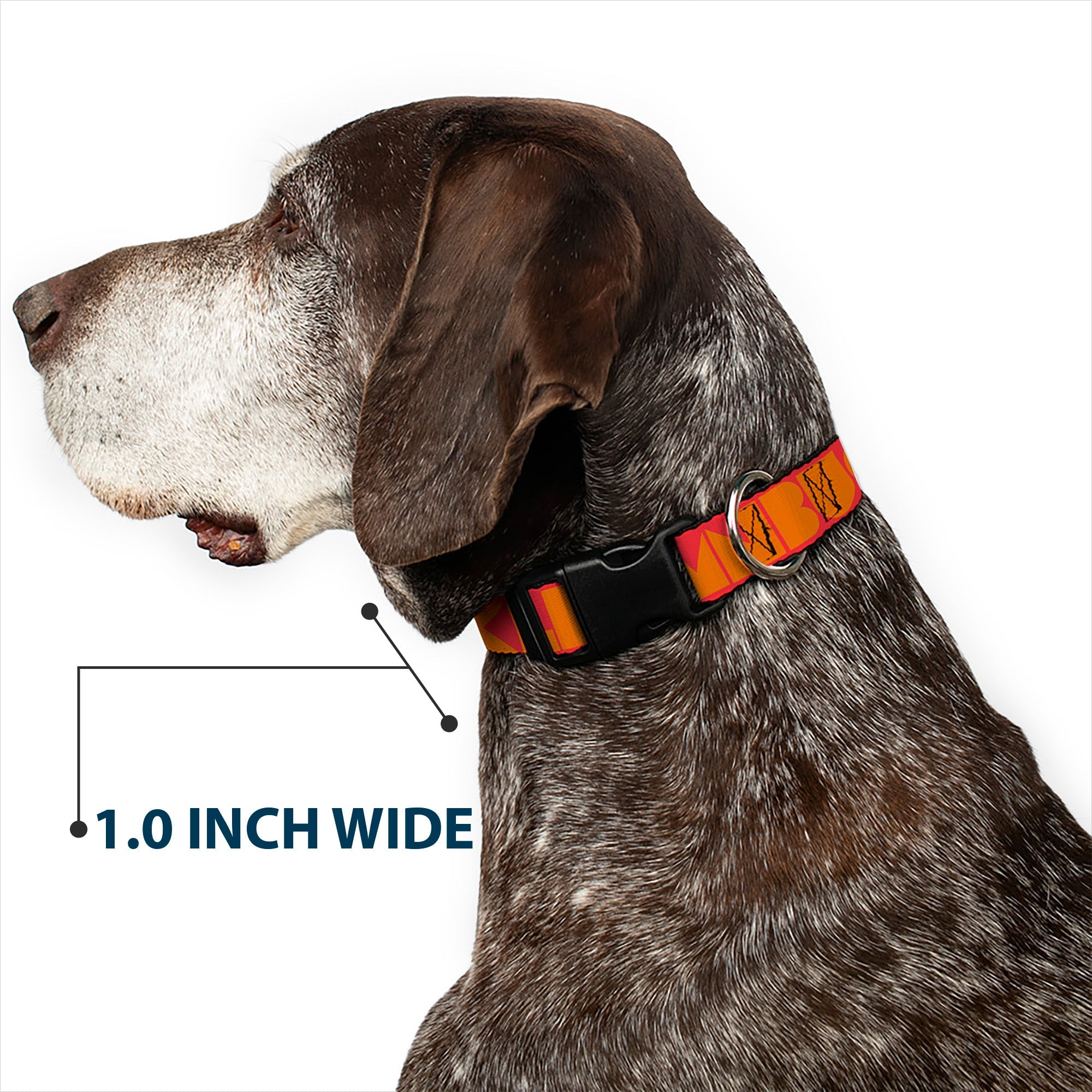 Plastic Clip Collar - BUCKLE-DOWN Shapes Red/Orange