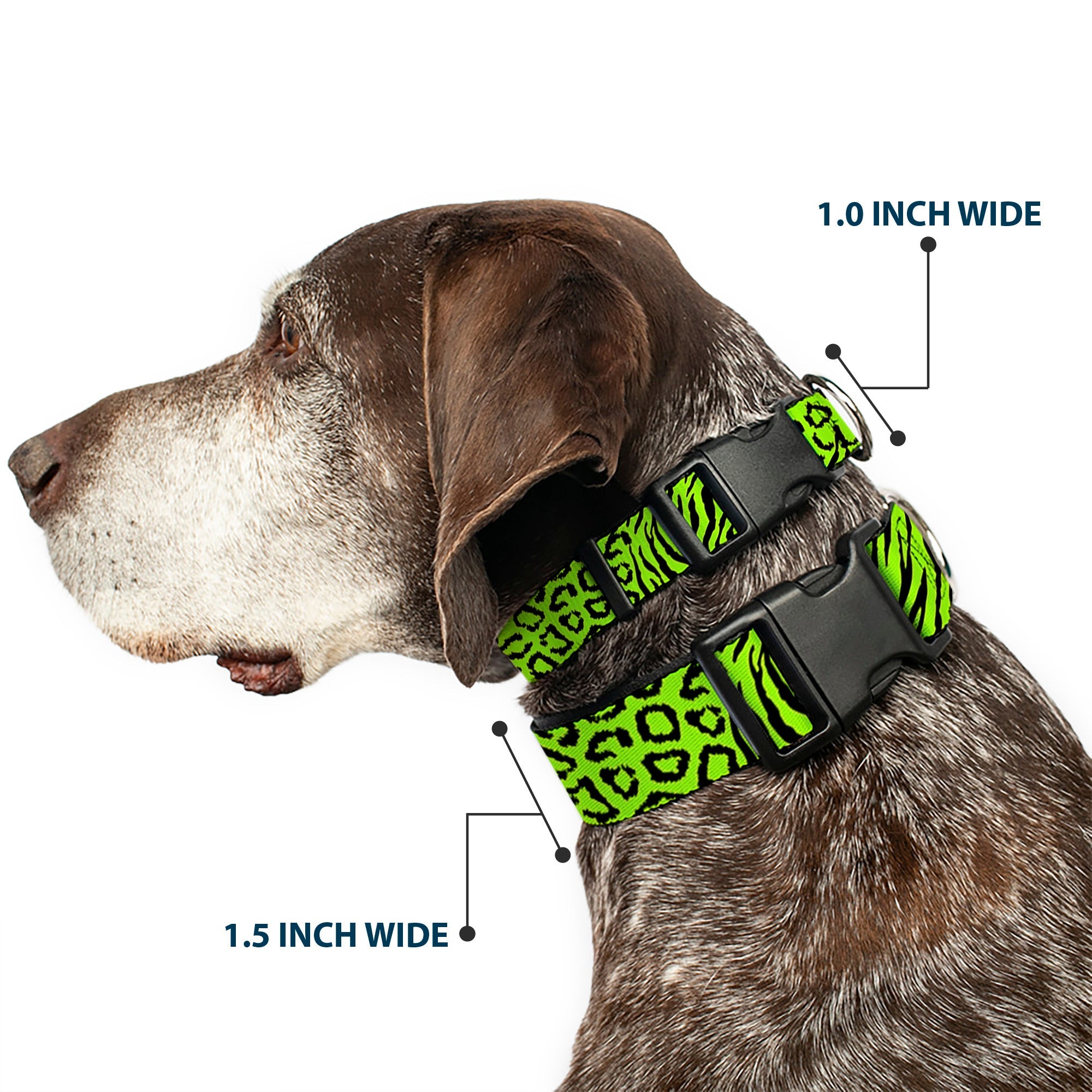 Plastic Clip Collar - Cheebra Green/Black