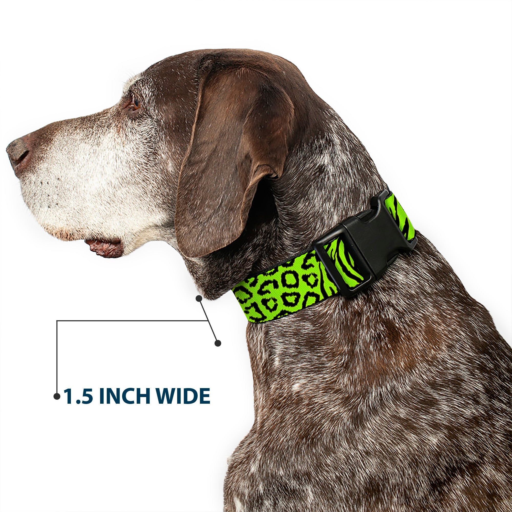 Plastic Clip Collar - Cheebra Green/Black