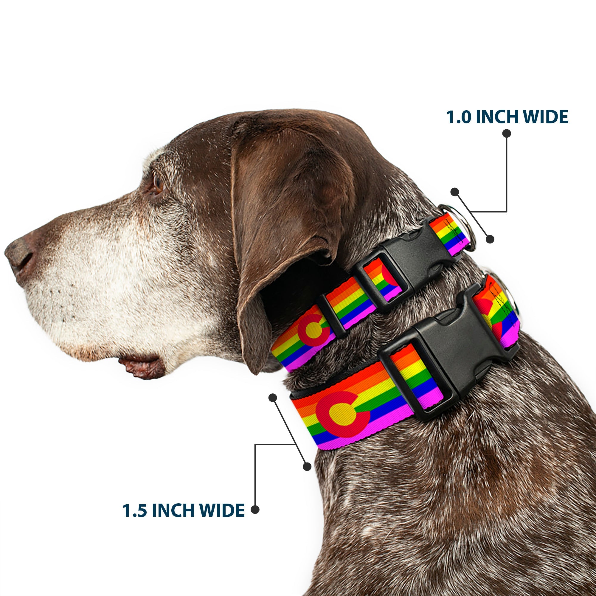 Plastic Clip Collar - Colorado Flags2 Pride